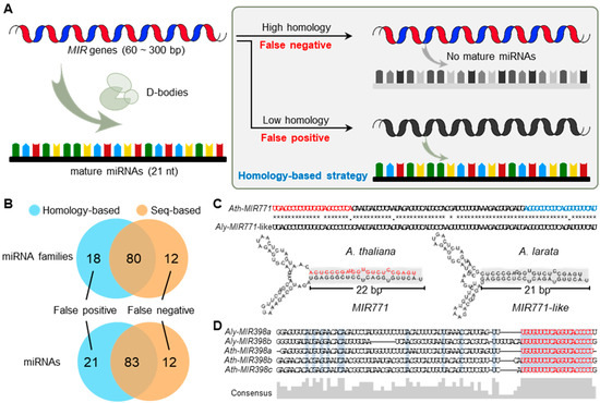 Ijms Free Full Text Identification Of Species Specific Micrornas Provides Insights Into Dynamic Evolution Of Micrornas In Plants