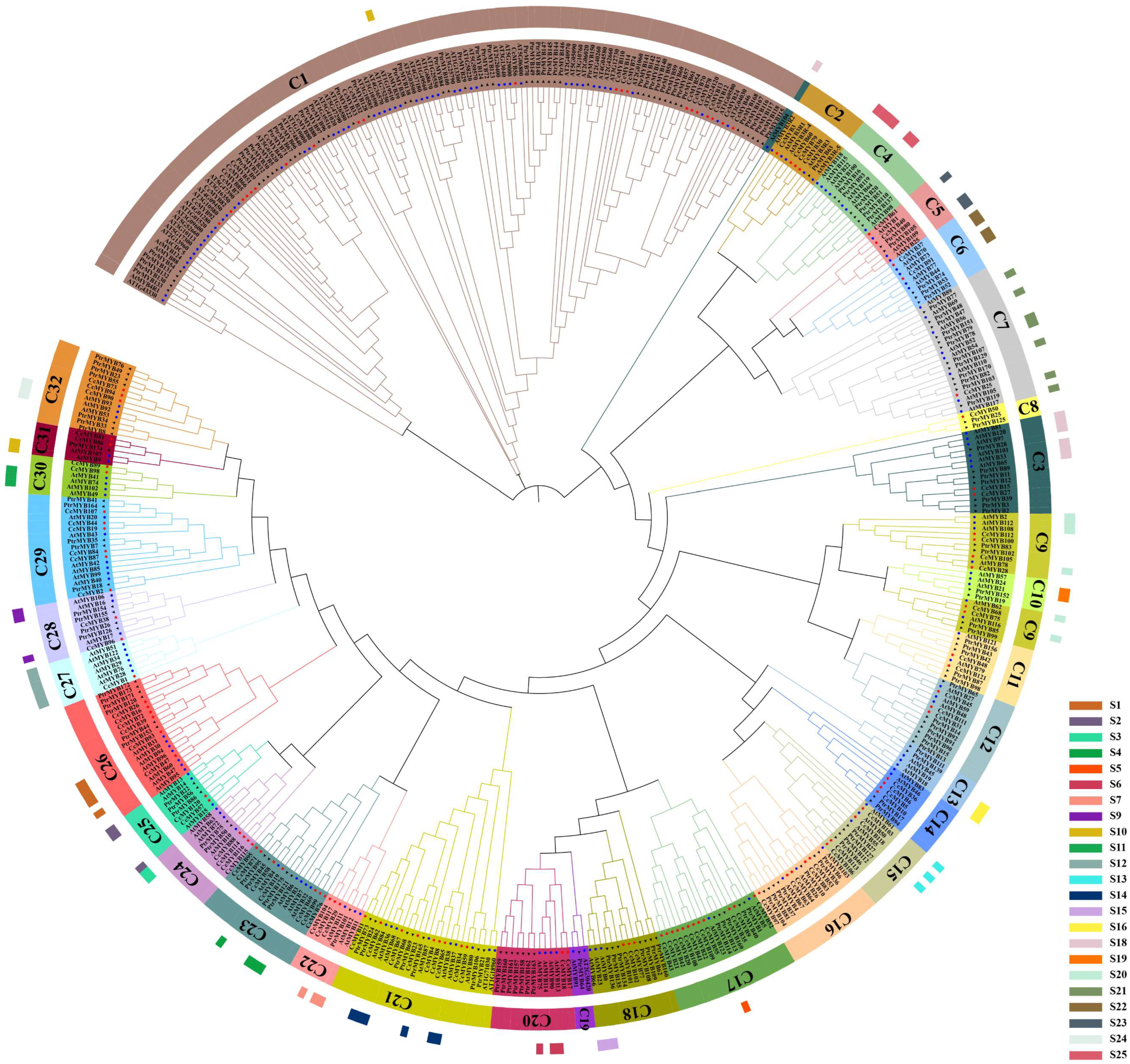 Ijms 23 14279 g001 Ijms 23 14279 g001