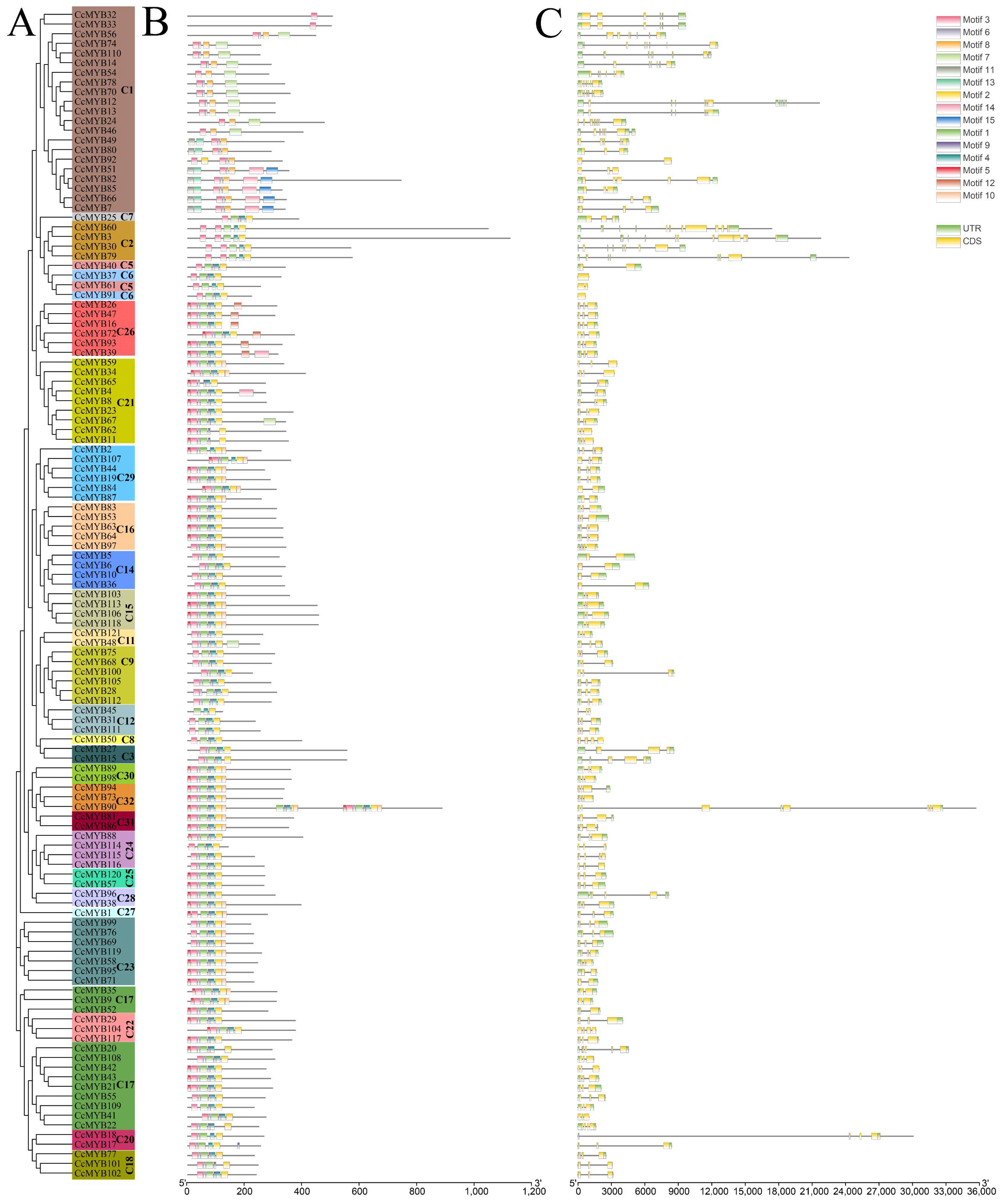 Ijms 23 14279 g003 Ijms 23 14279 g003