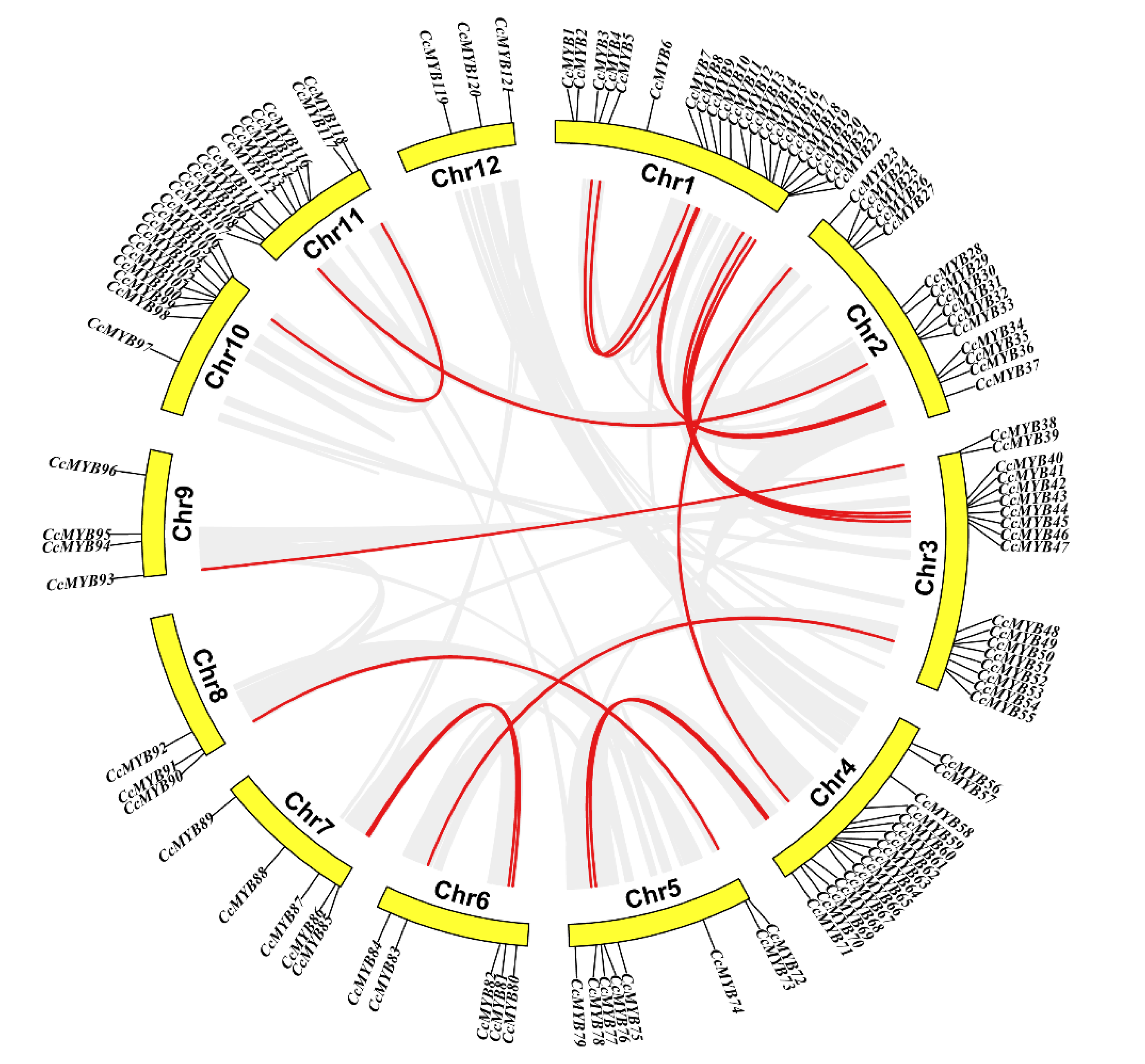 Ijms 23 14279 g005 Ijms 23 14279 g005