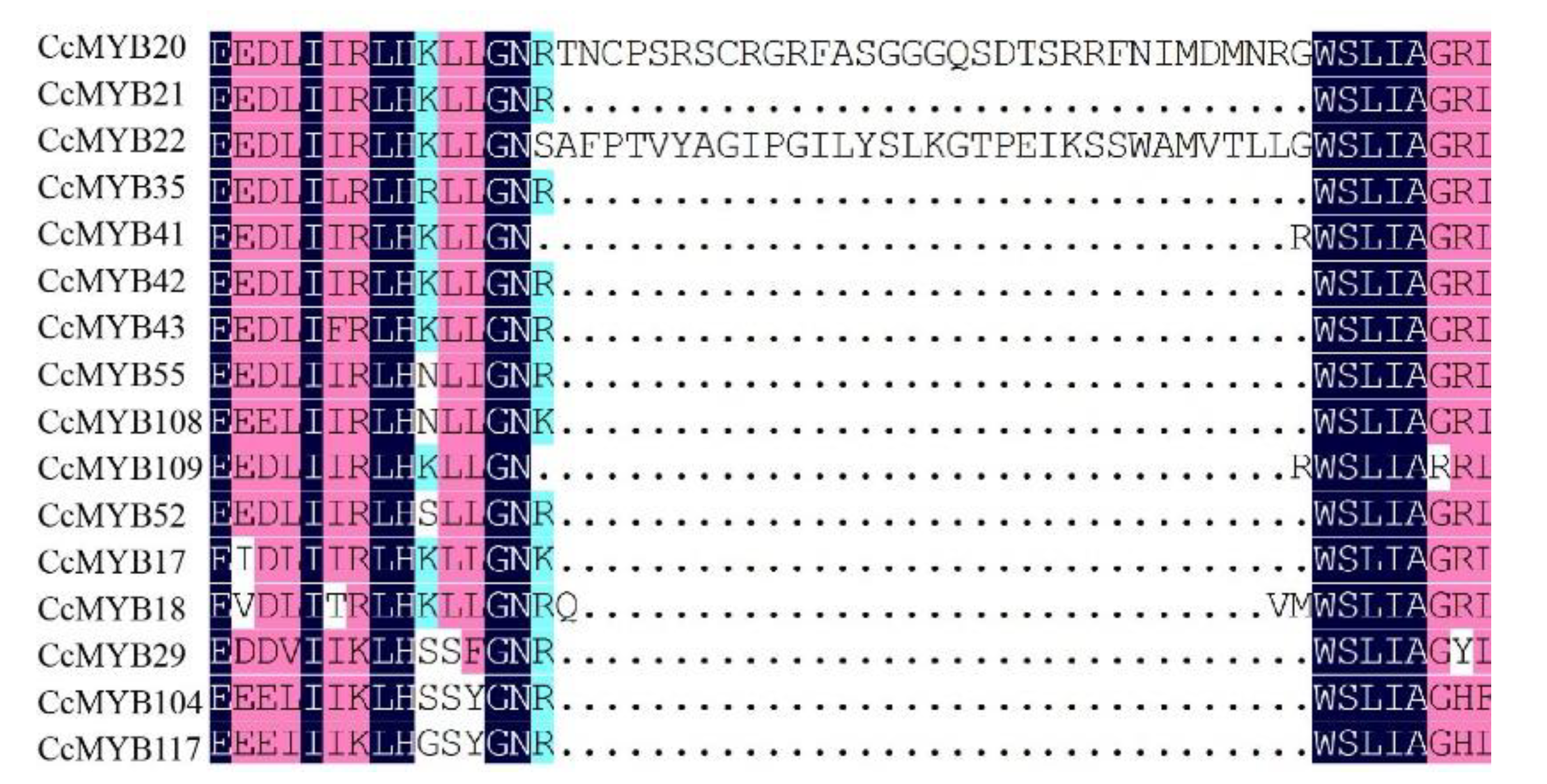 Ijms 23 14279 g009 Ijms 23 14279 g009