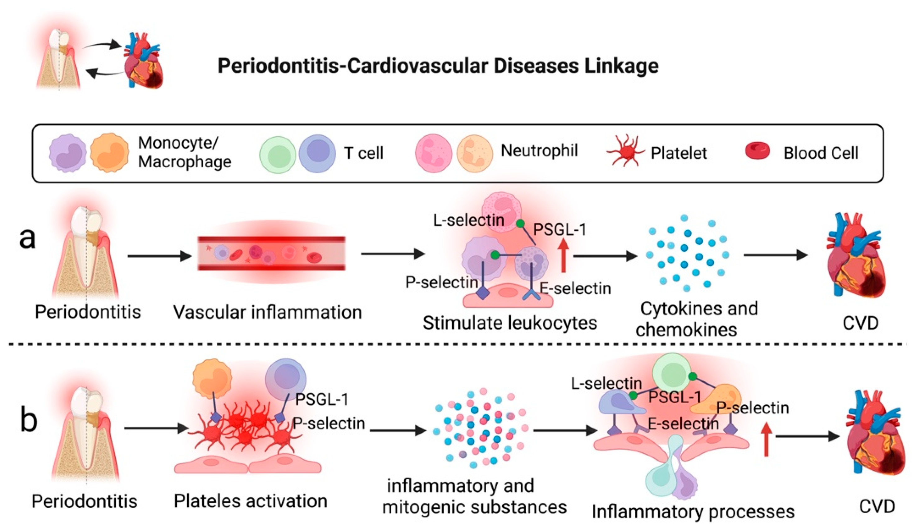 Ijms 23 14280 g002 Ijms 23 14280 g002