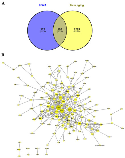 A Polyurethane front shock absorber support Toyota Celica 1981