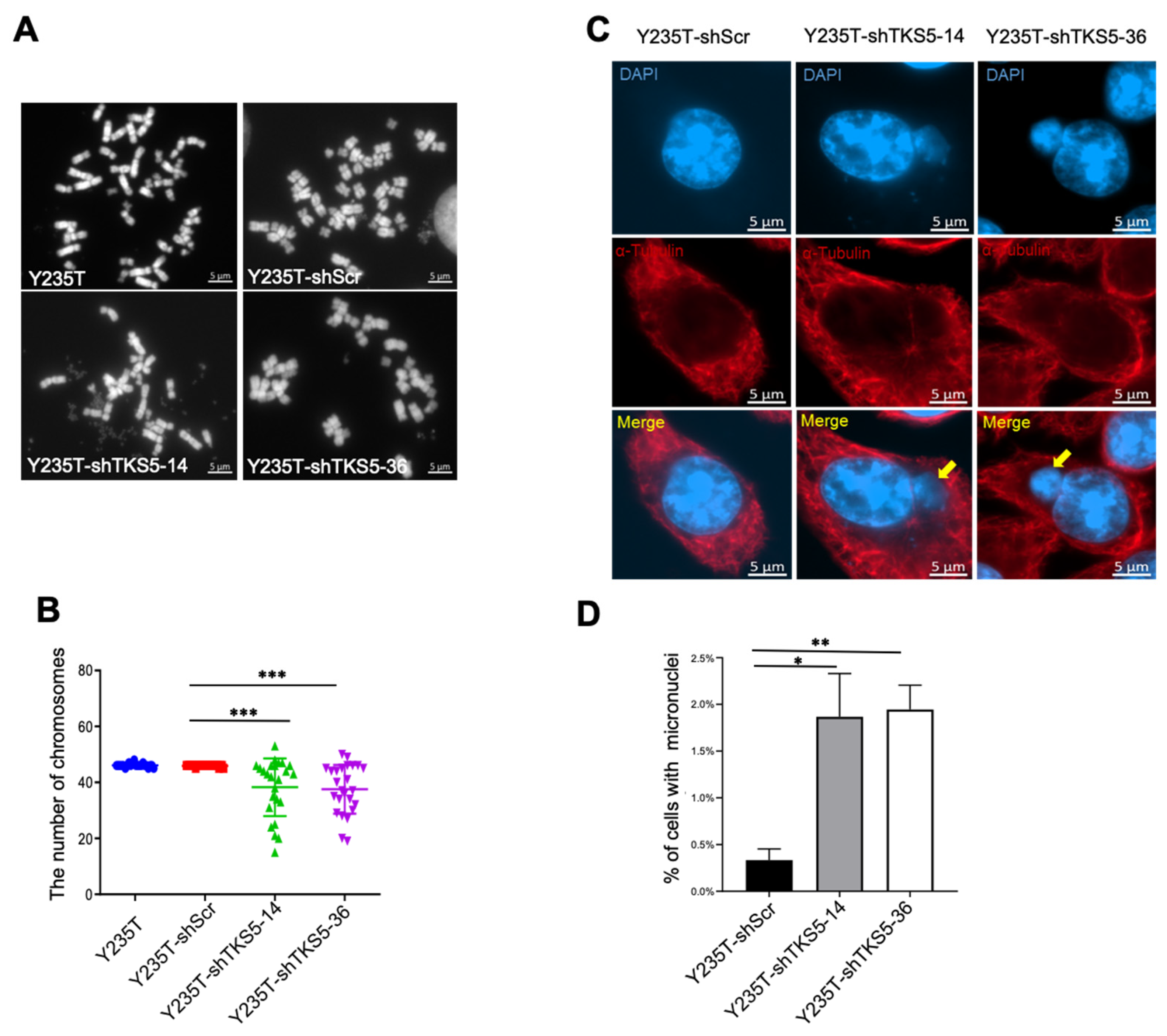 Ijms 23 14283 g004 Ijms 23 14283 g004