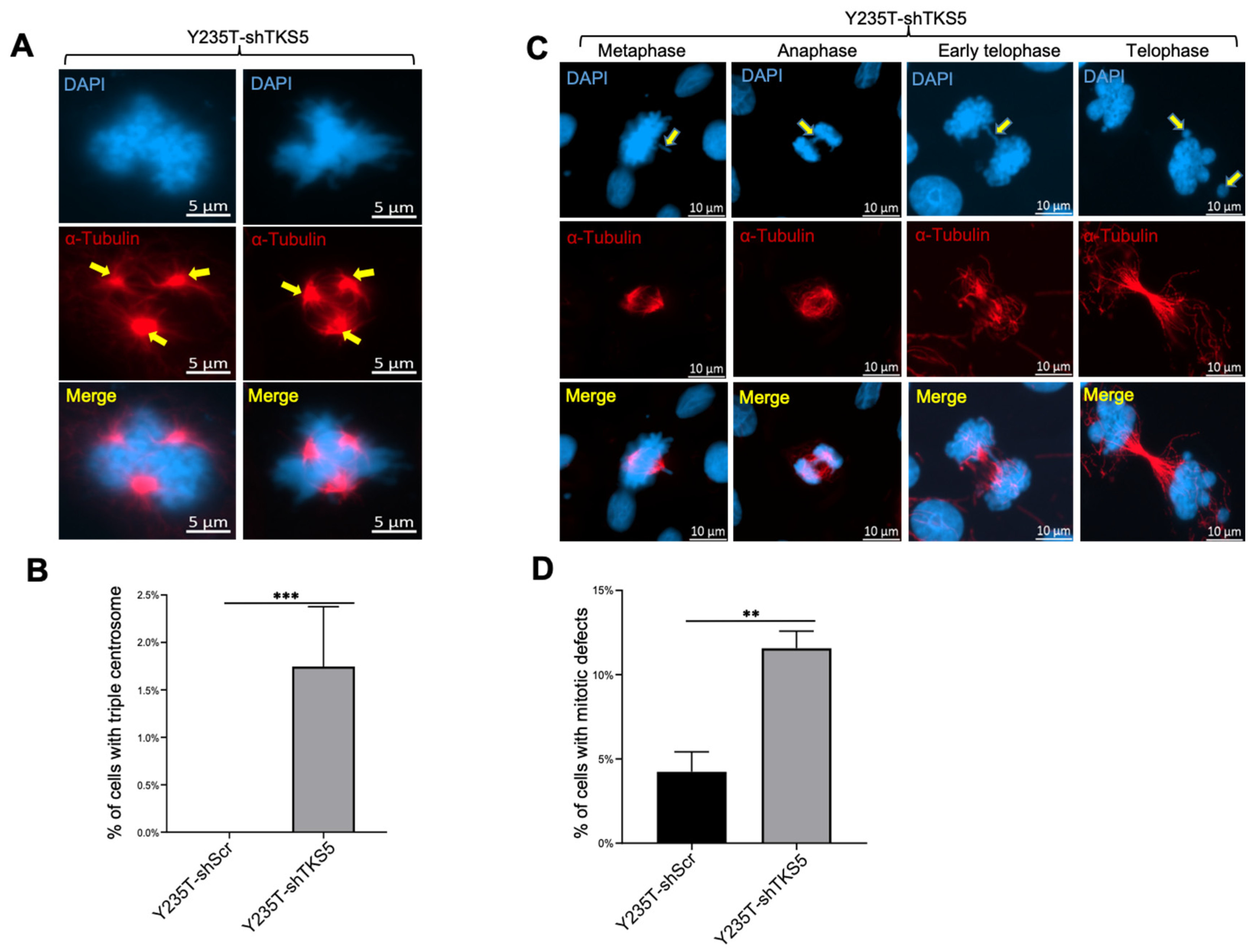 Ijms 23 14283 g005 Ijms 23 14283 g005