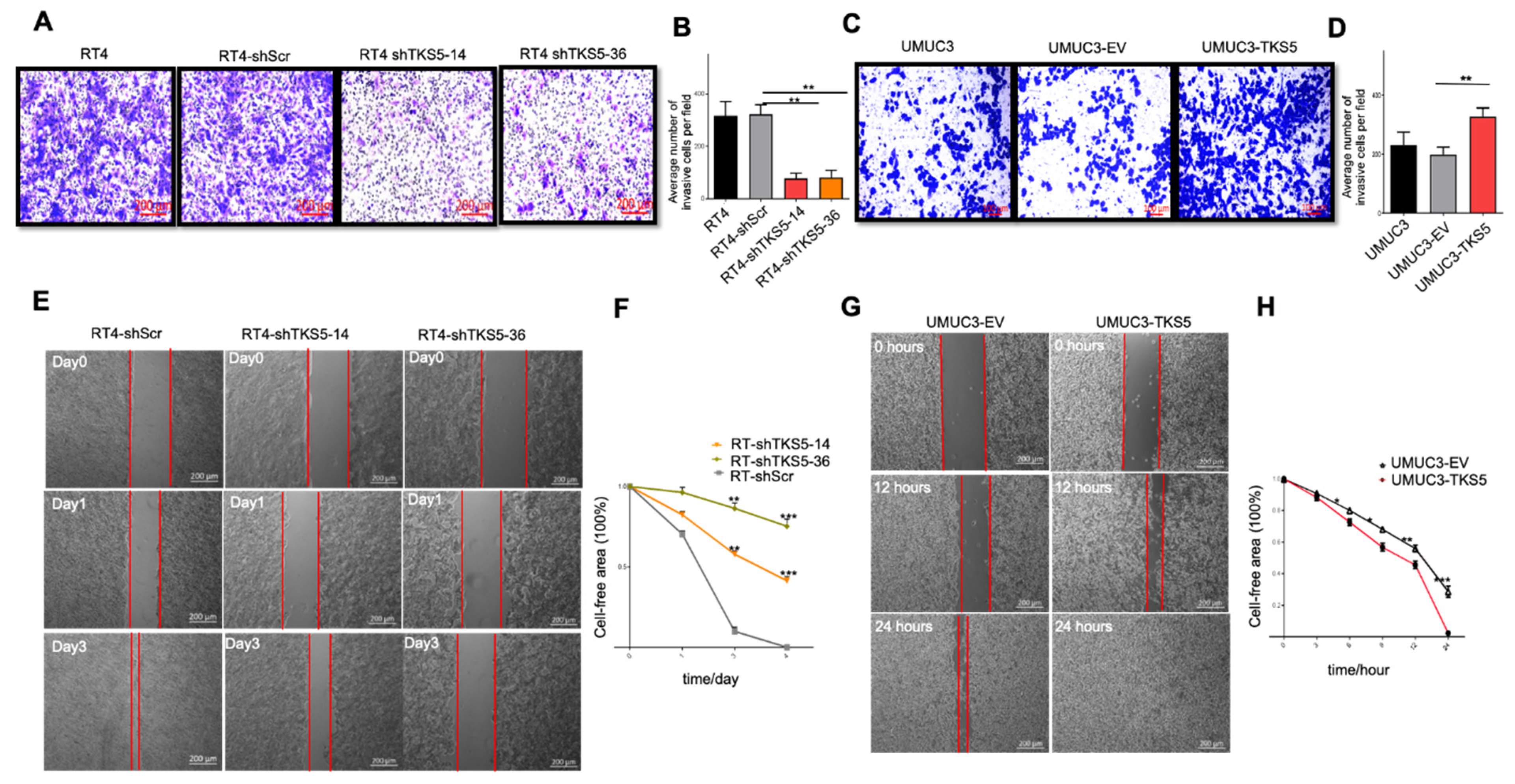 Ijms 23 14283 g007 Ijms 23 14283 g007
