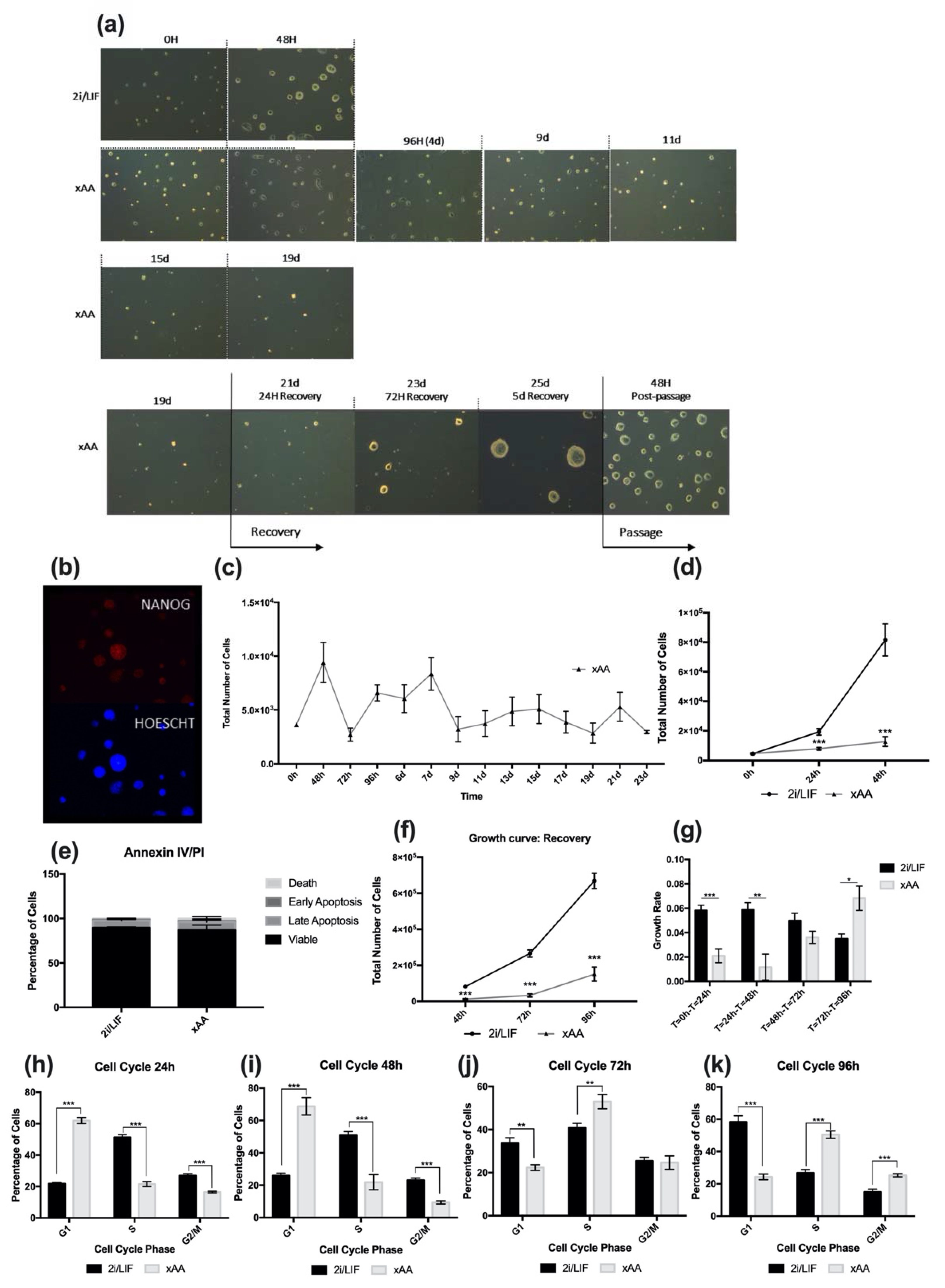 Ijms 23 14286 g001 Ijms 23 14286 g001