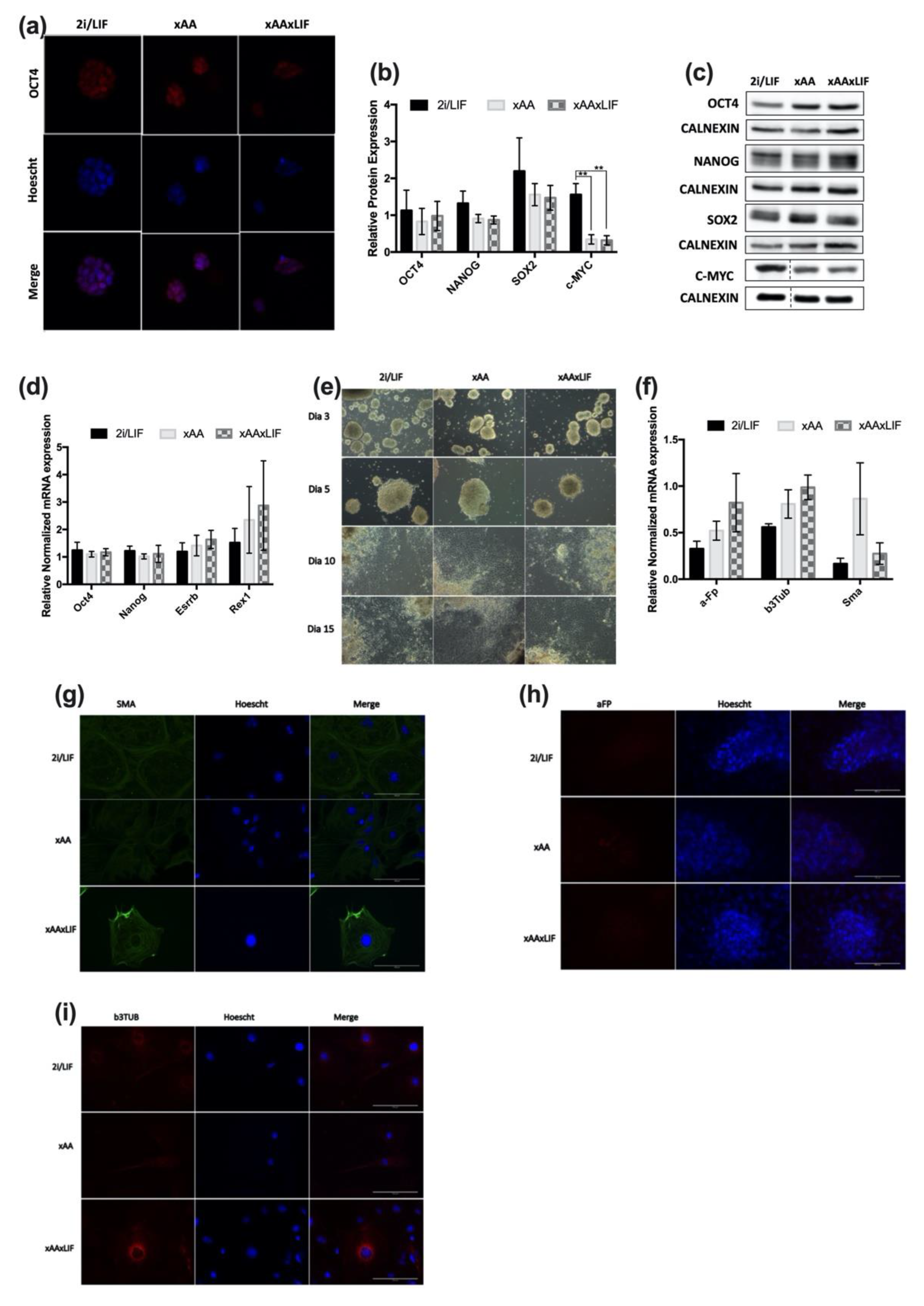 Ijms 23 14286 g003 Ijms 23 14286 g003