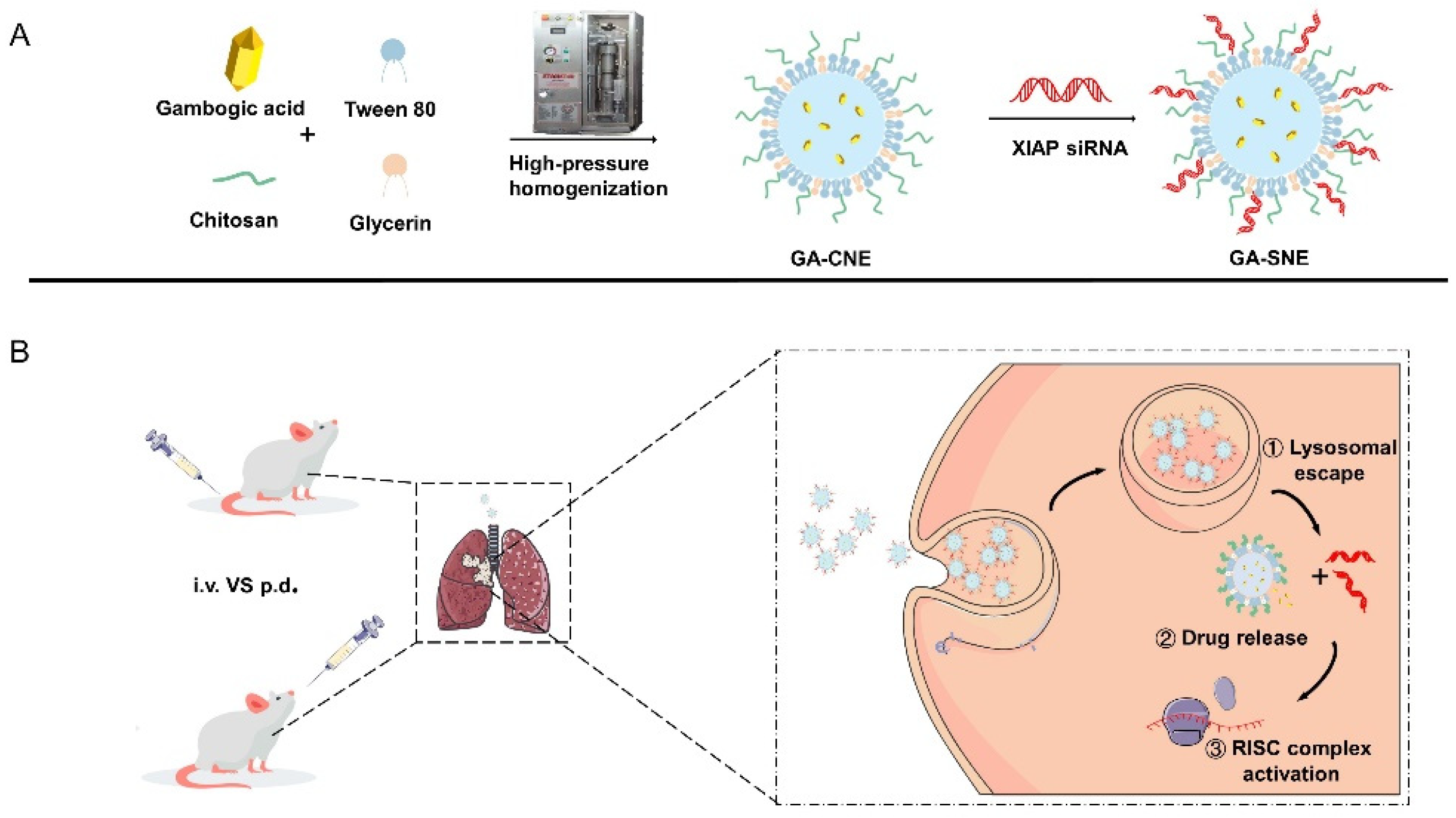 Ijms 23 14294 sch001
