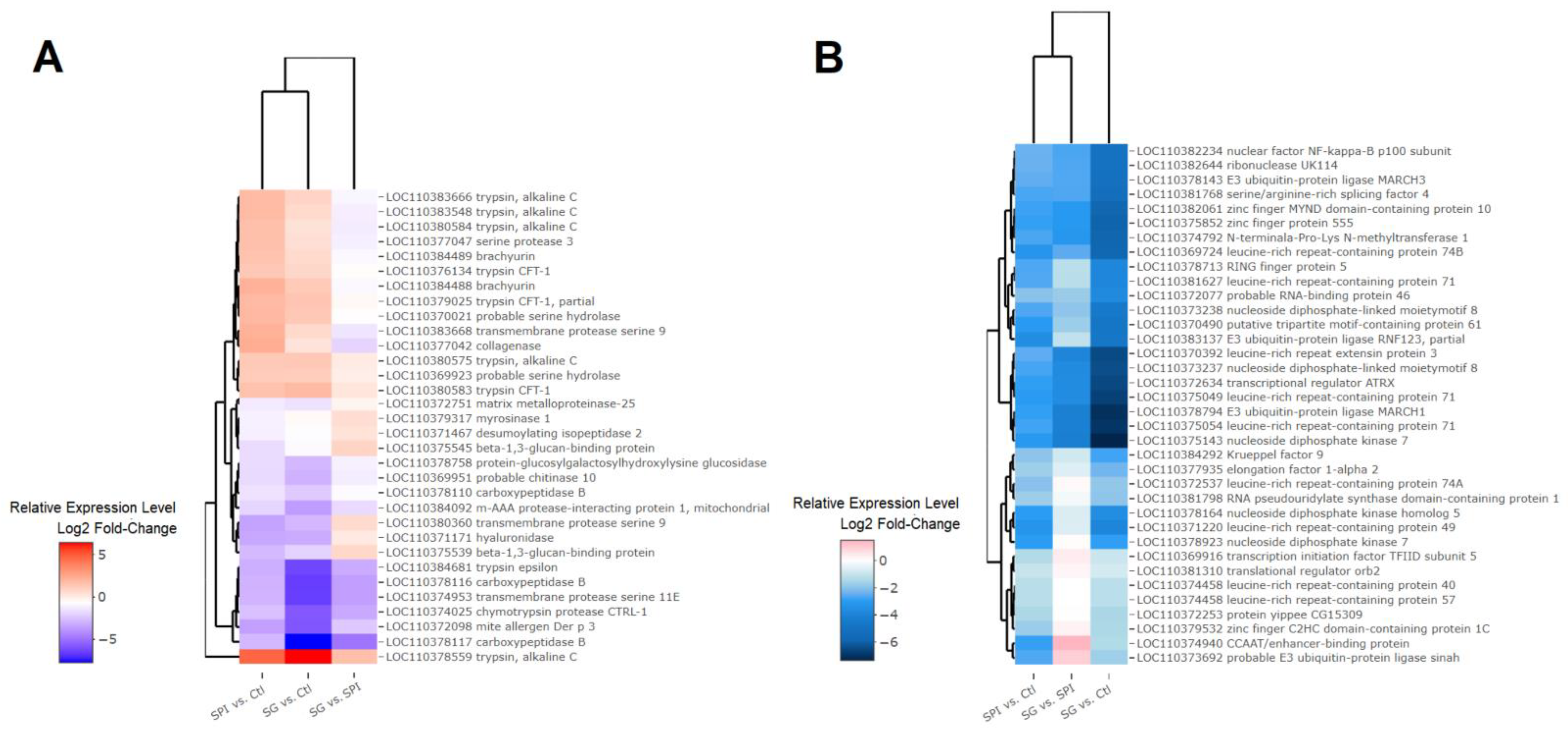 Ijms 23 14301 g003 Ijms 23 14301 g003
