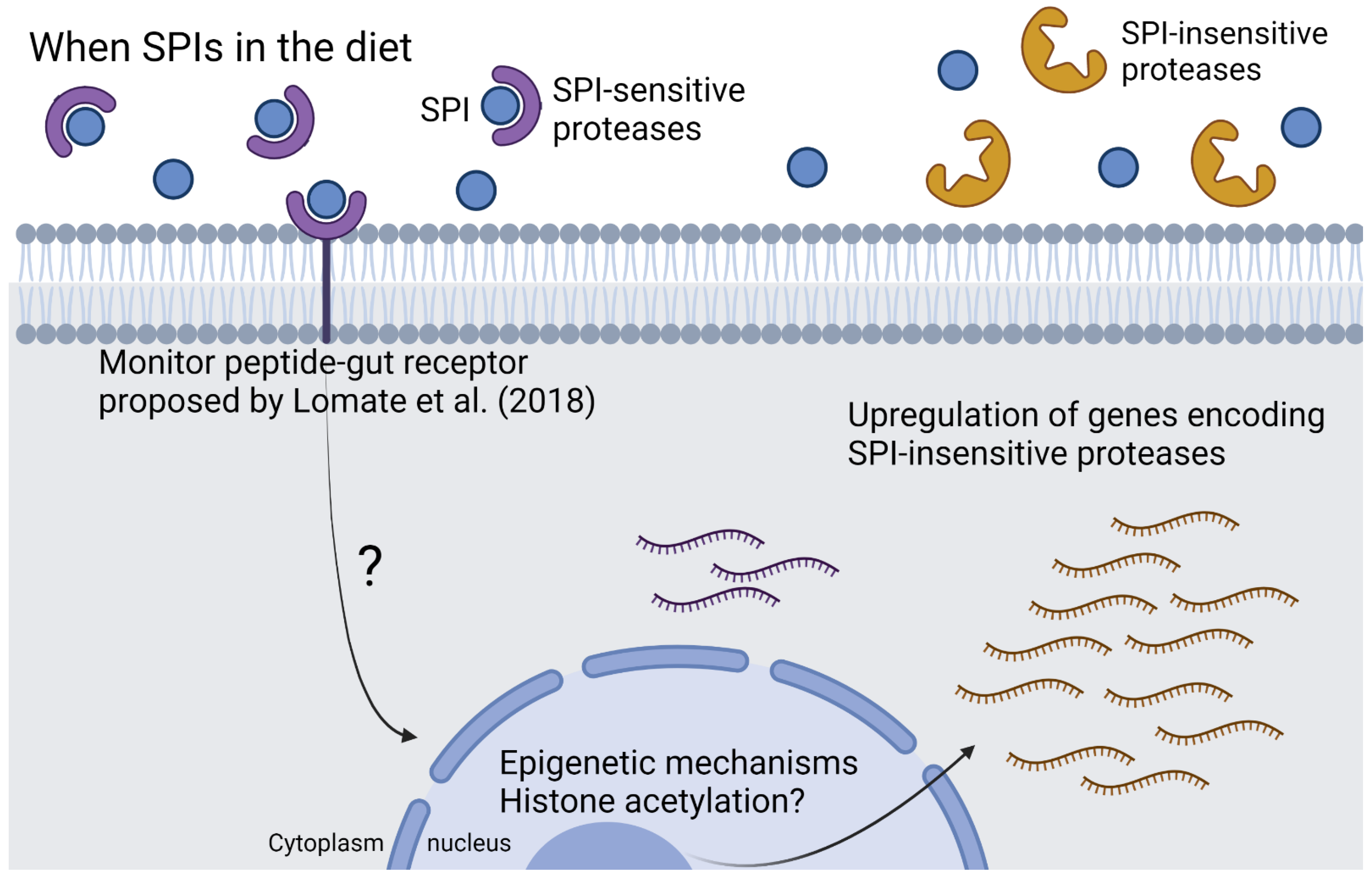 Ijms 23 14301 g006 Ijms 23 14301 g006