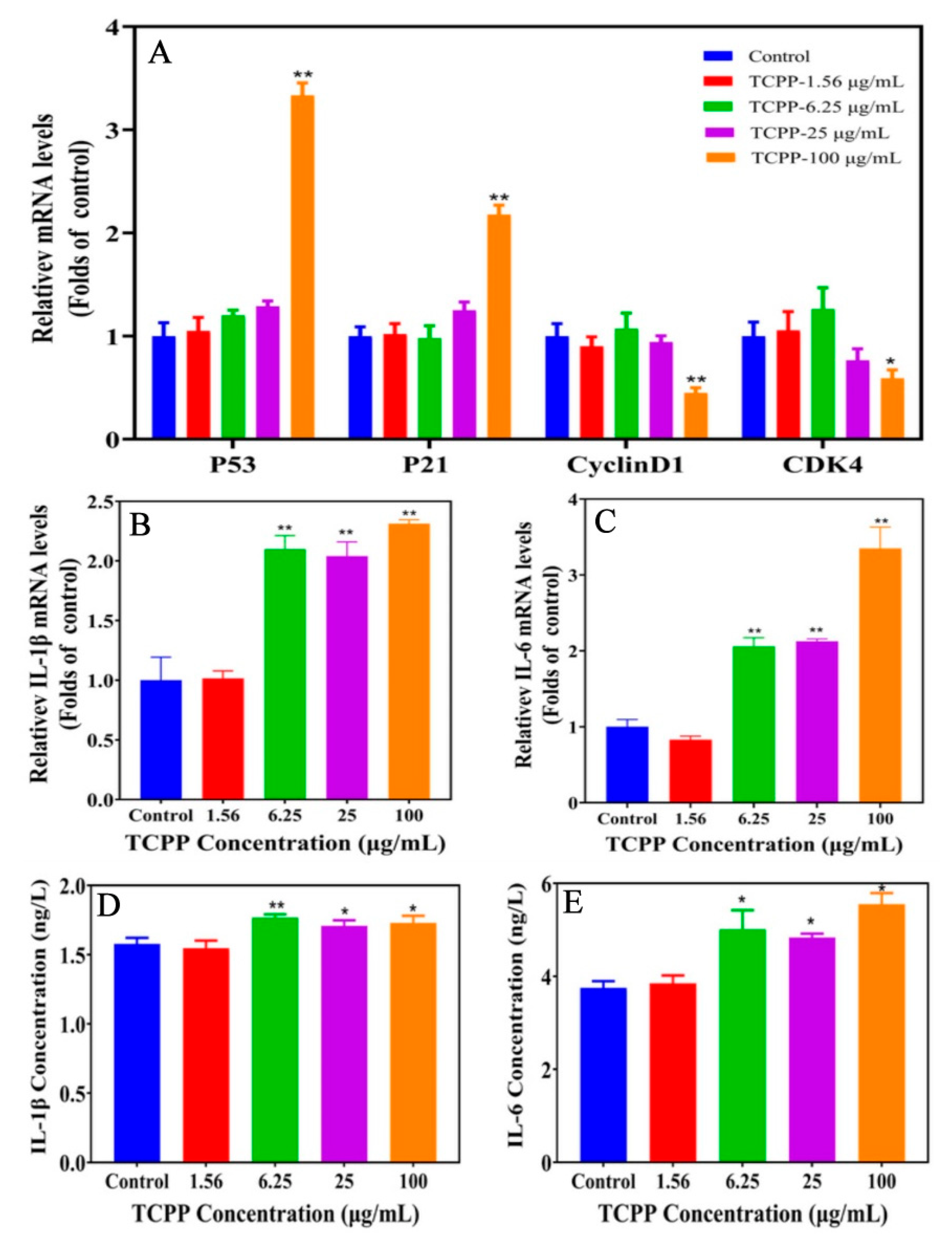 Ijms 23 14306 g007 Ijms 23 14306 g007
