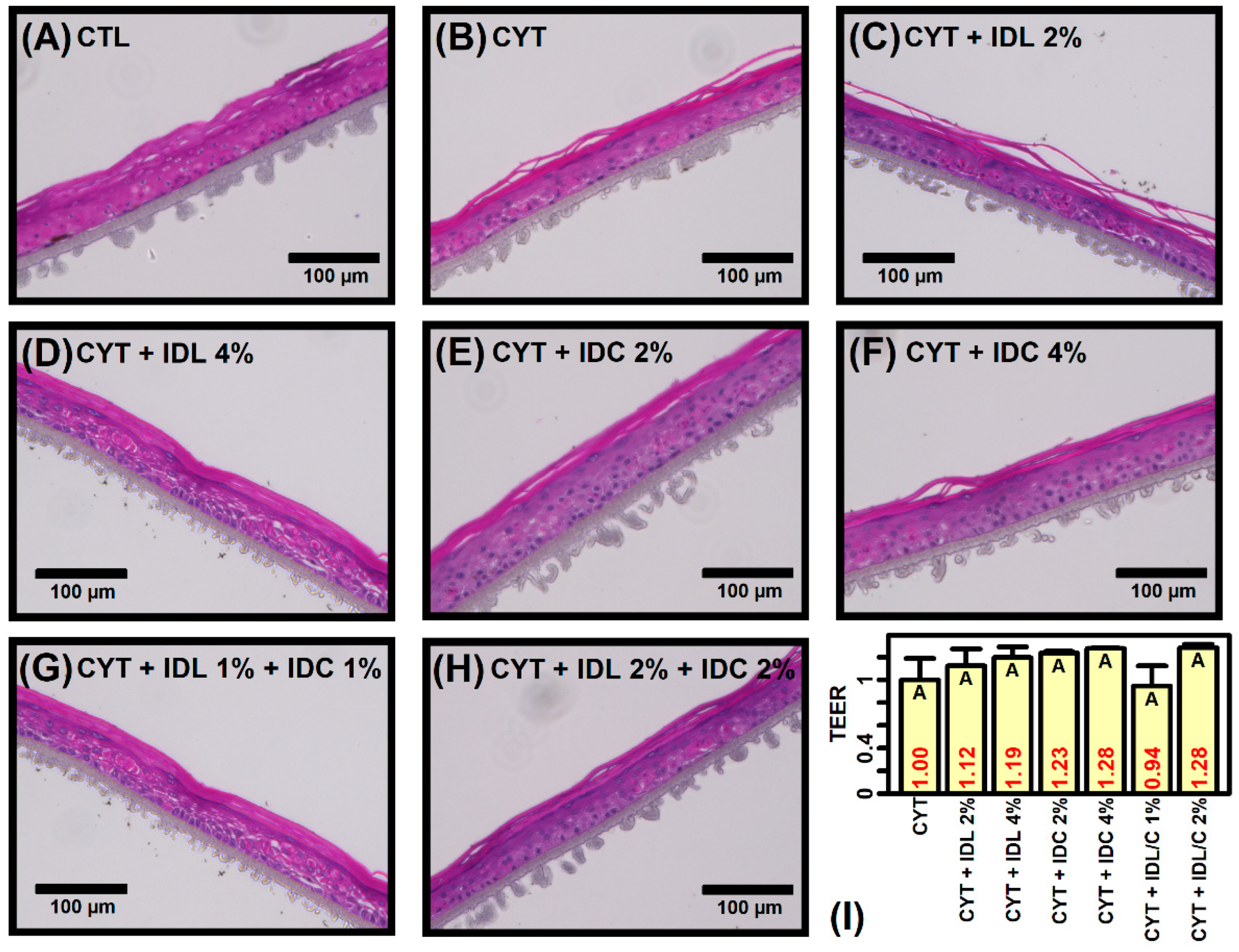 Ijms 23 14307 g001 Ijms 23 14307 g001