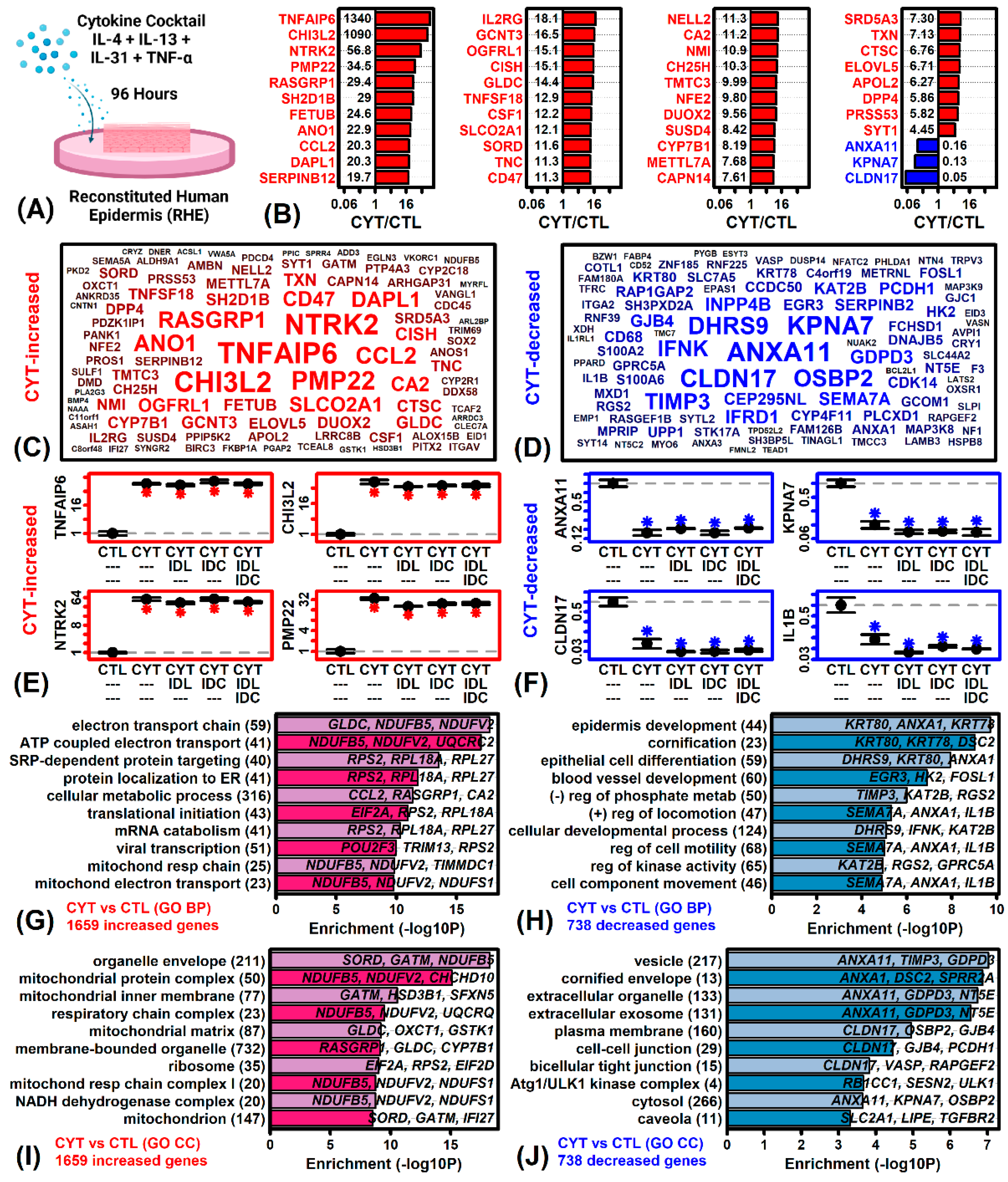 Ijms 23 14307 g002 Ijms 23 14307 g002