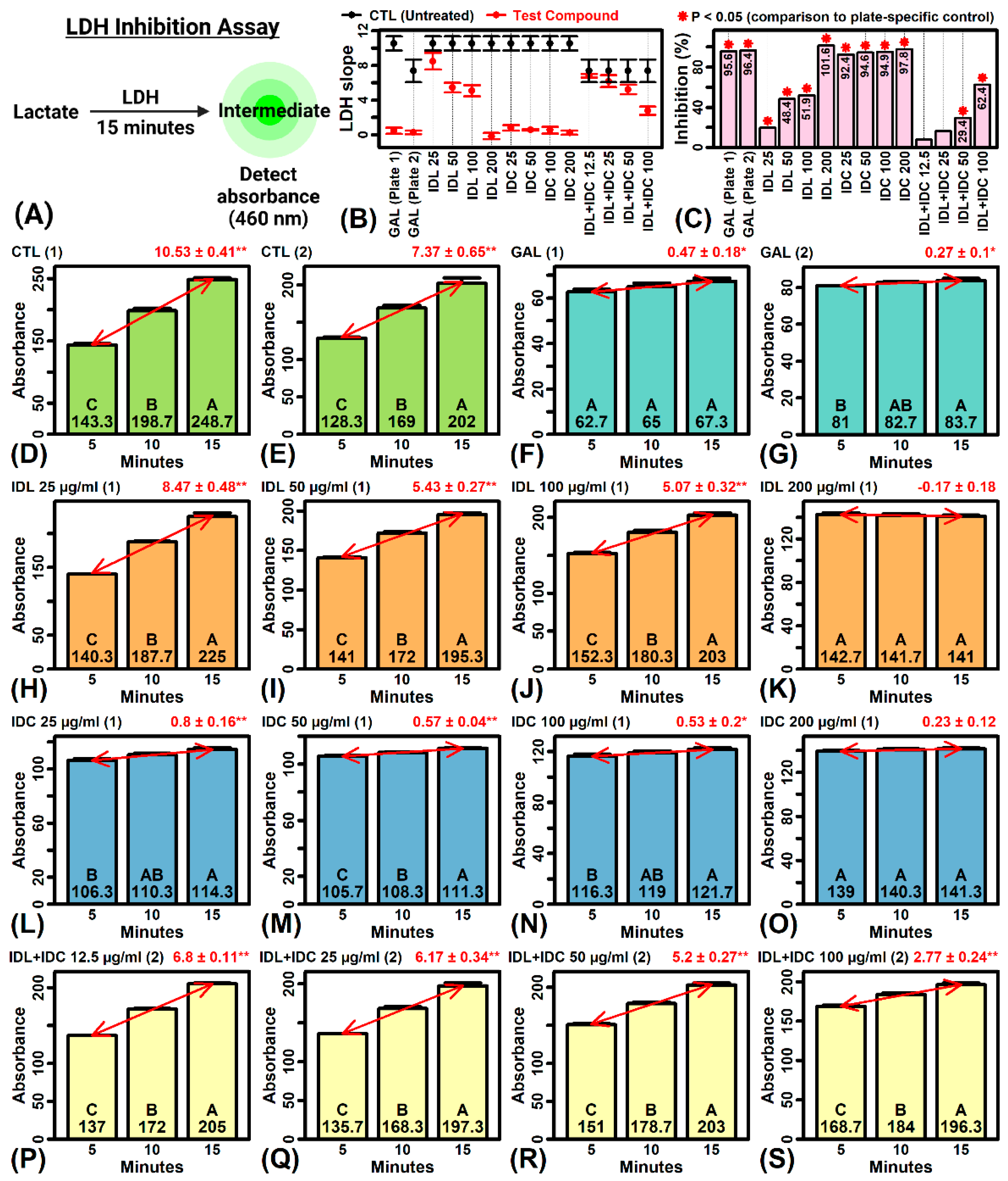 Ijms 23 14307 g007 Ijms 23 14307 g007