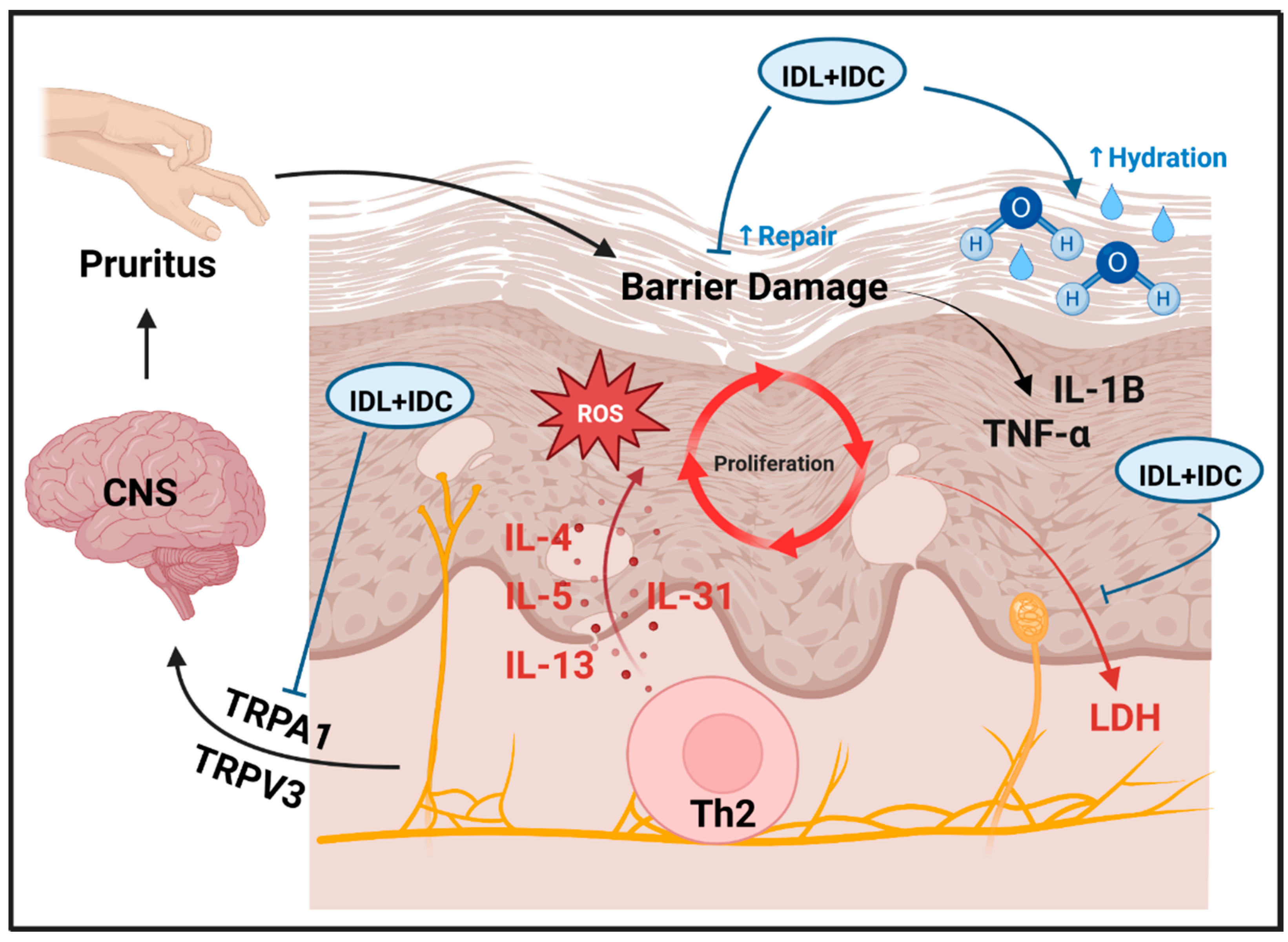 Ijms 23 14307 g008 Ijms 23 14307 g008