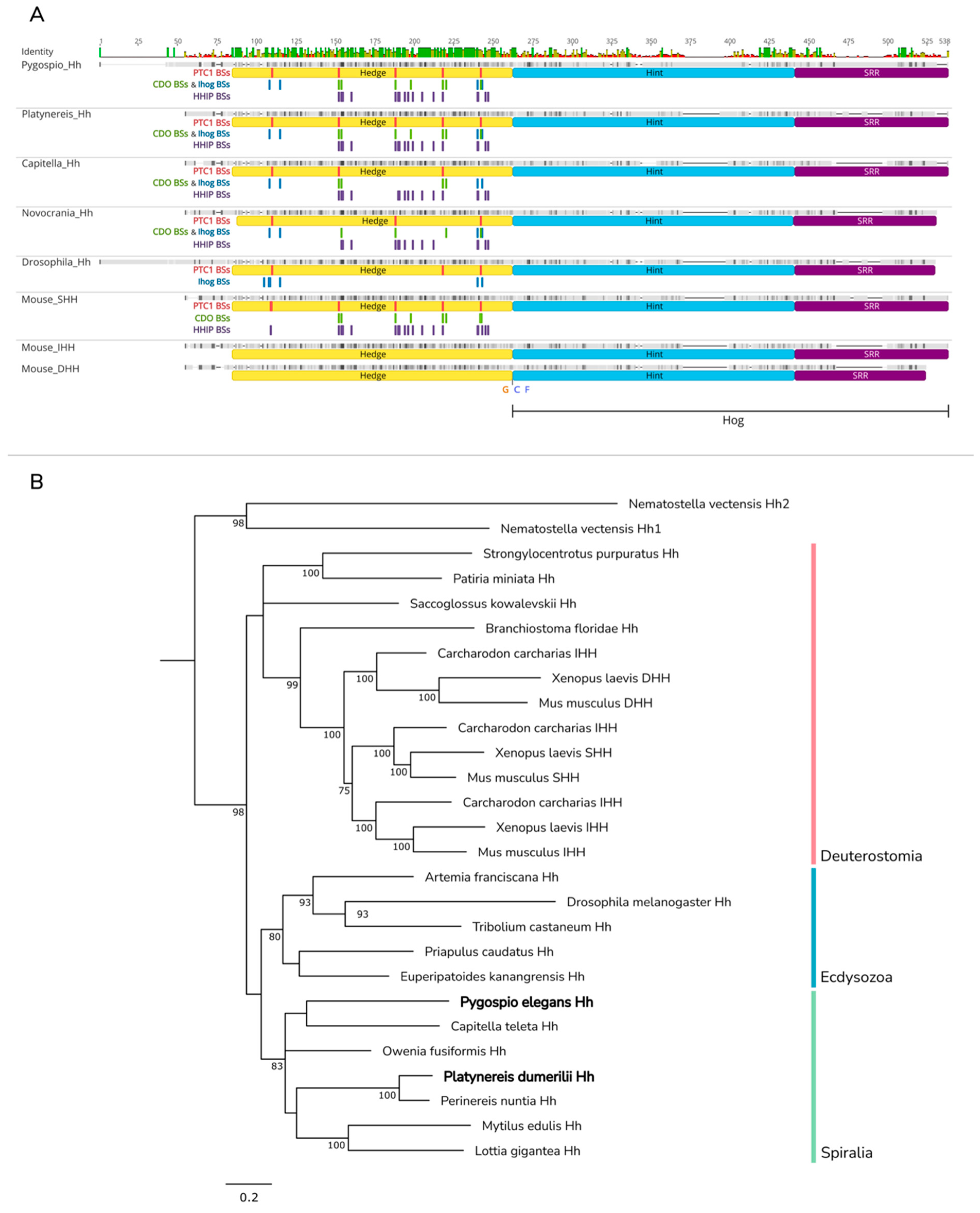 Ijms 23 14312 g002 Ijms 23 14312 g002