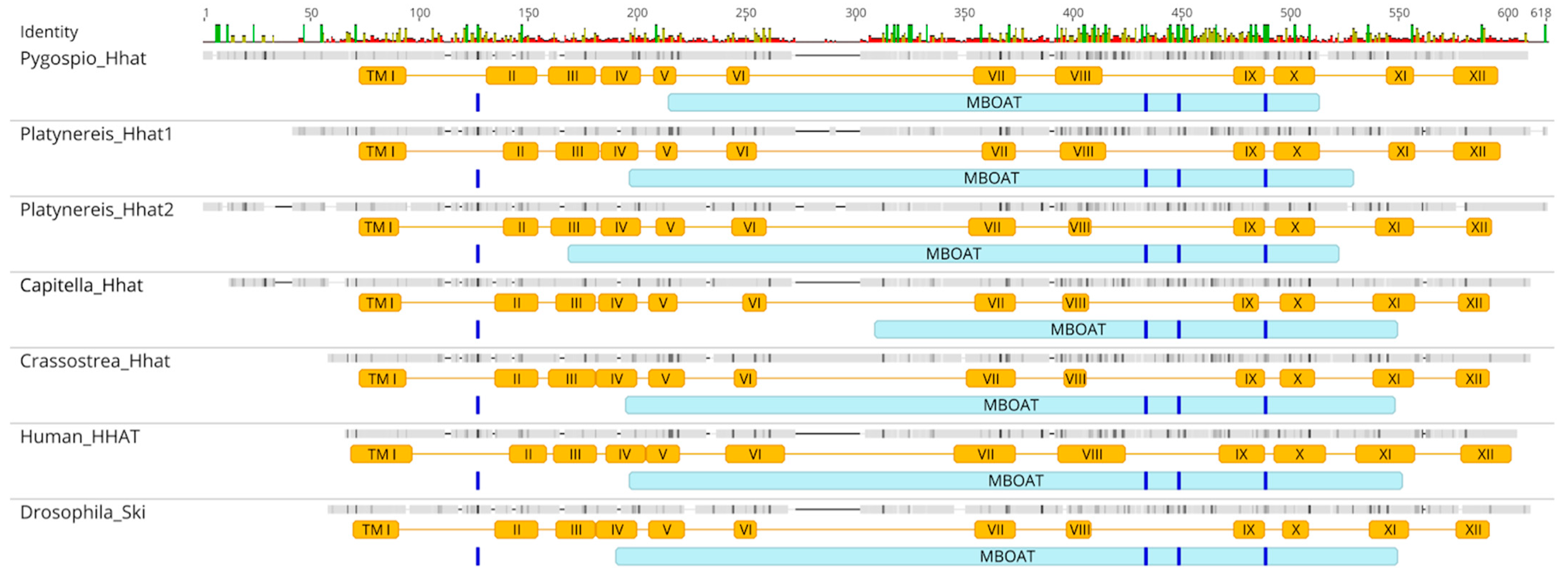Ijms 23 14312 g003 Ijms 23 14312 g003