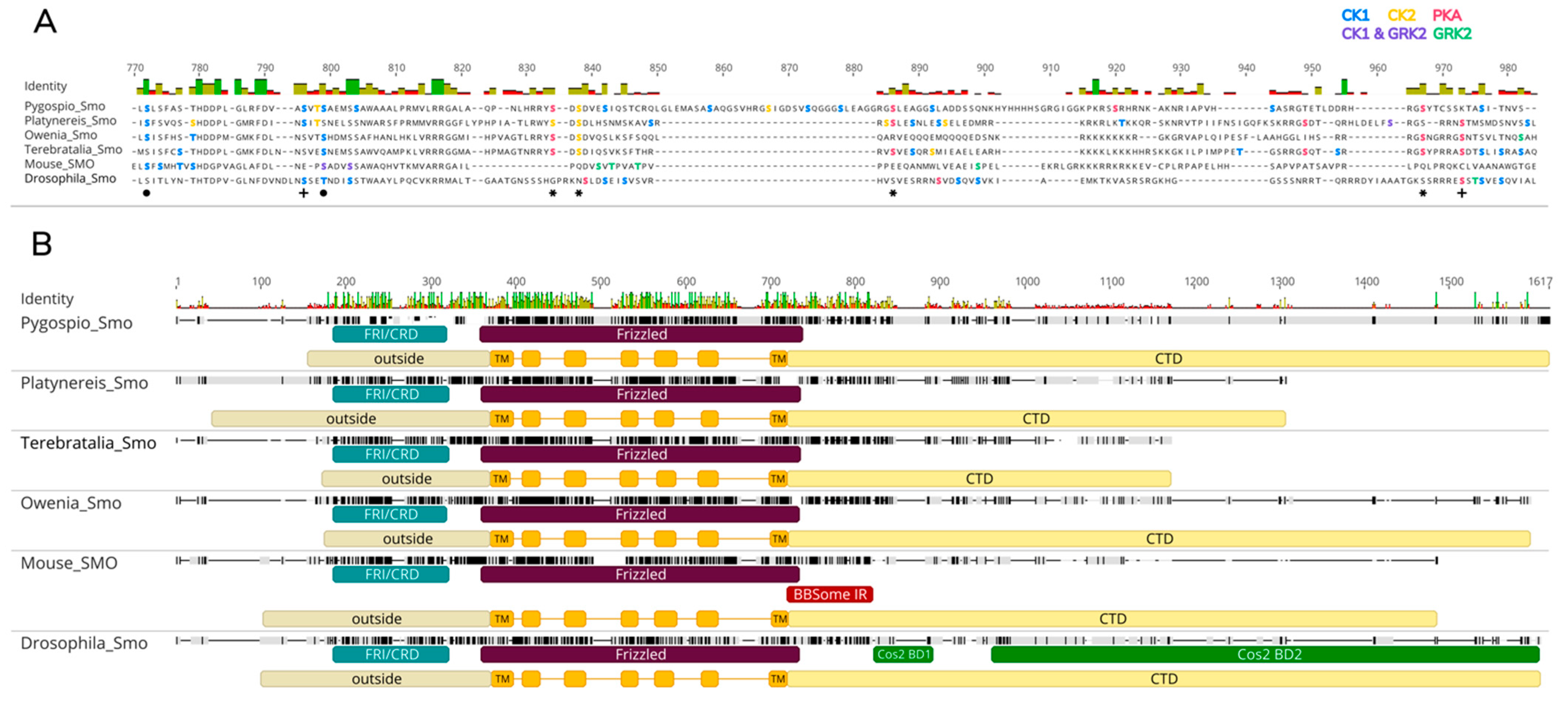 Ijms 23 14312 g006 Ijms 23 14312 g006