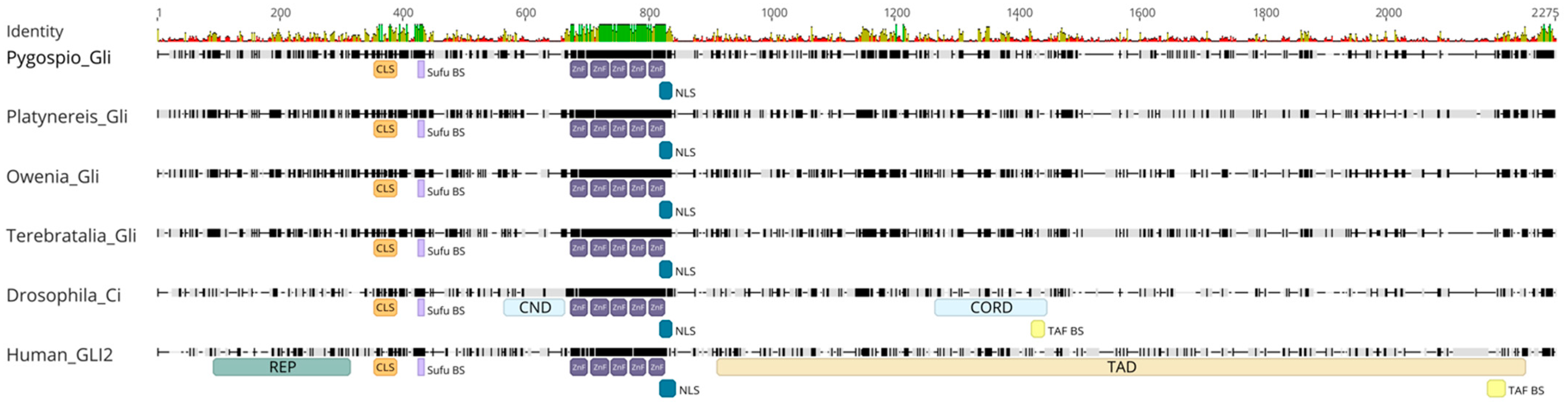 Ijms 23 14312 g009 Ijms 23 14312 g009