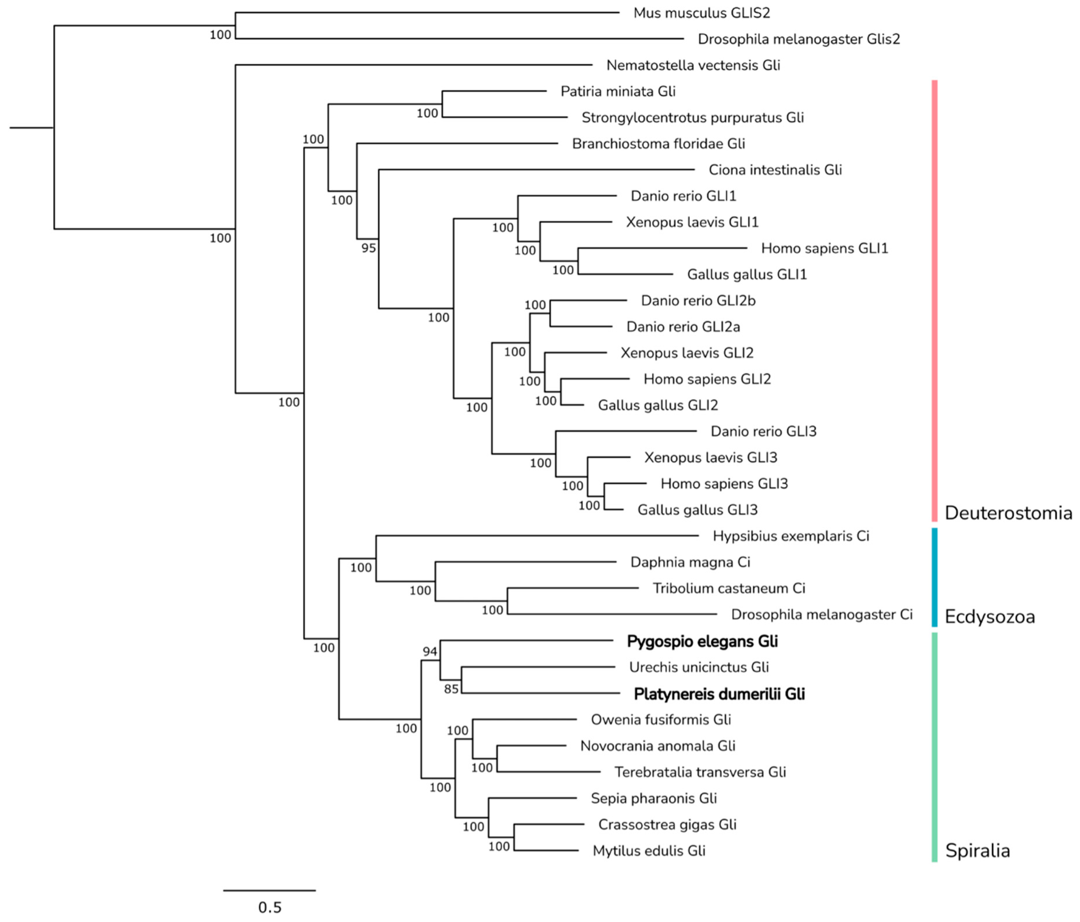Ijms 23 14312 g010 Ijms 23 14312 g010
