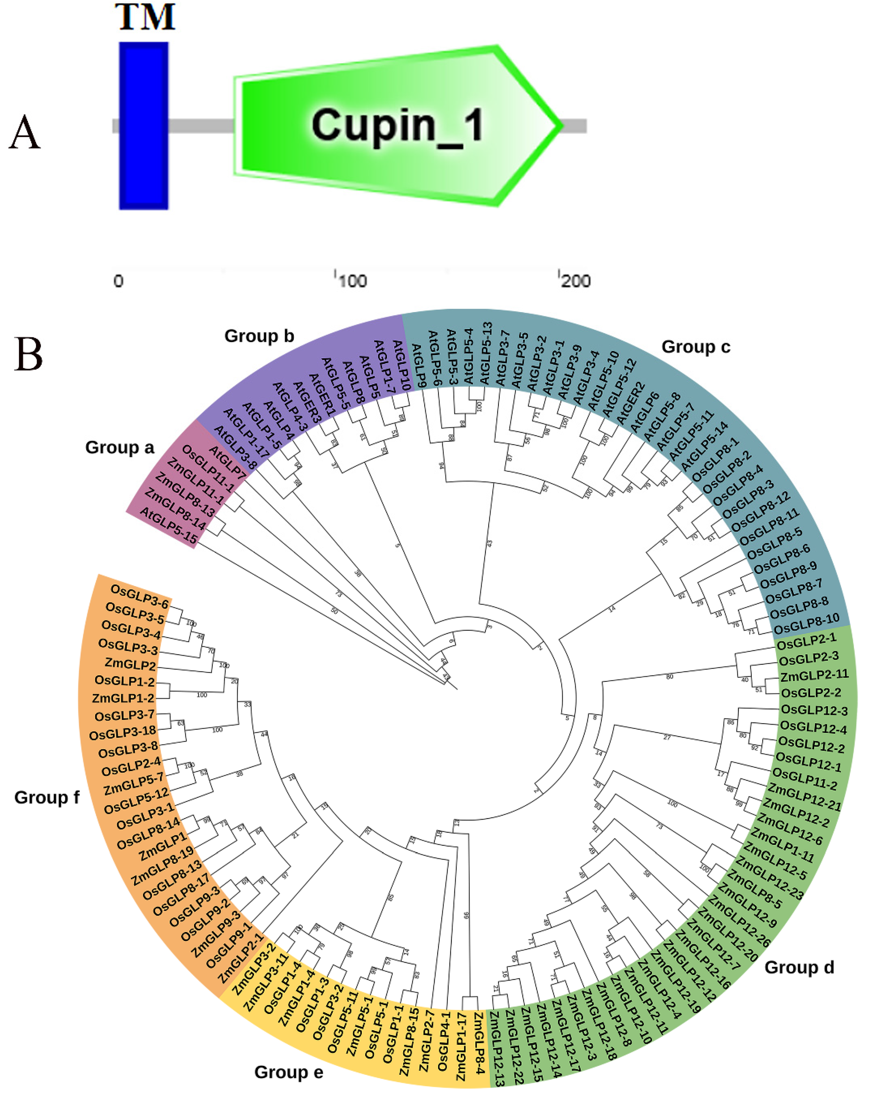 Ijms 23 14316 g001 Ijms 23 14316 g001