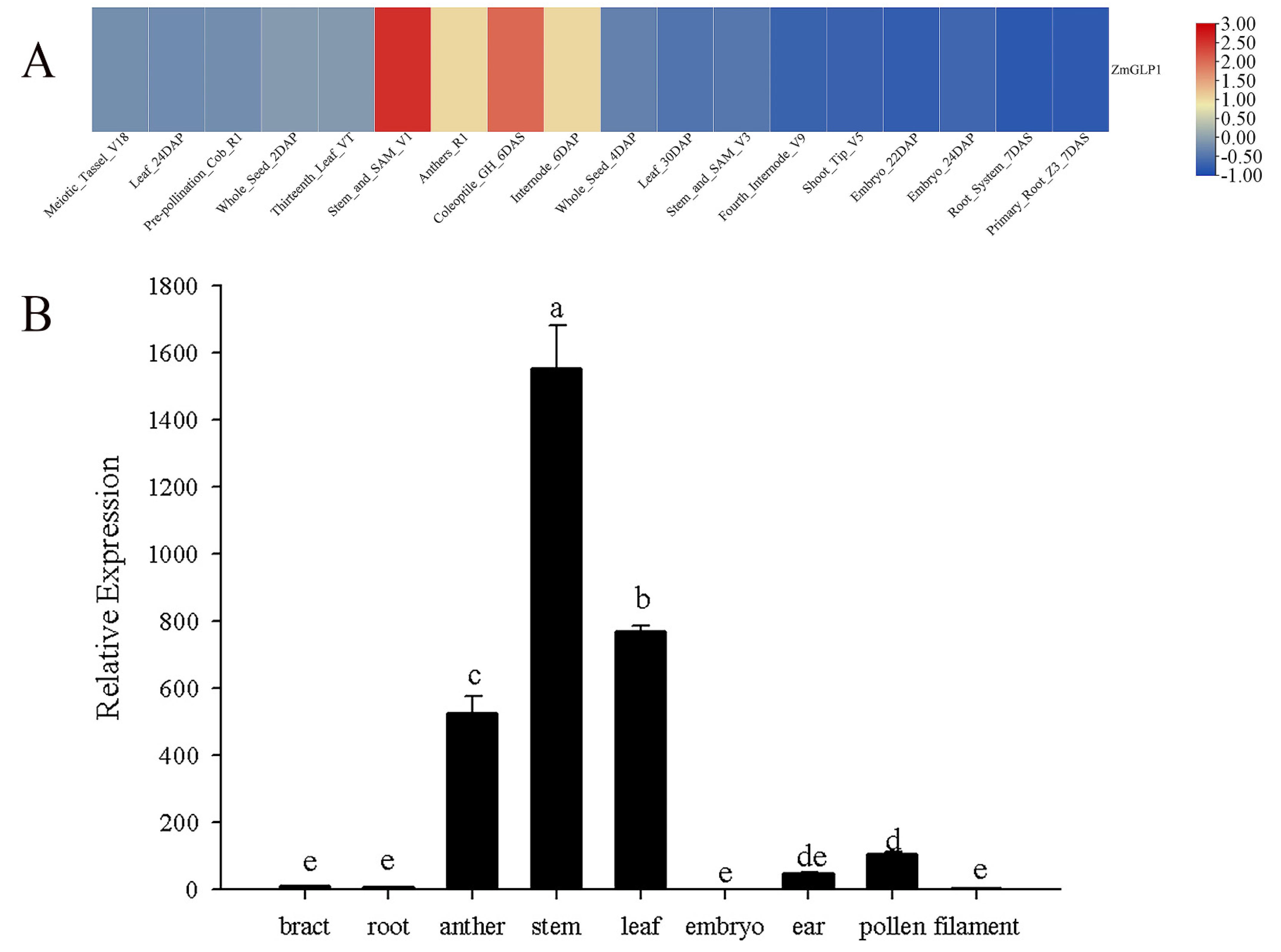 Ijms 23 14316 g002 Ijms 23 14316 g002