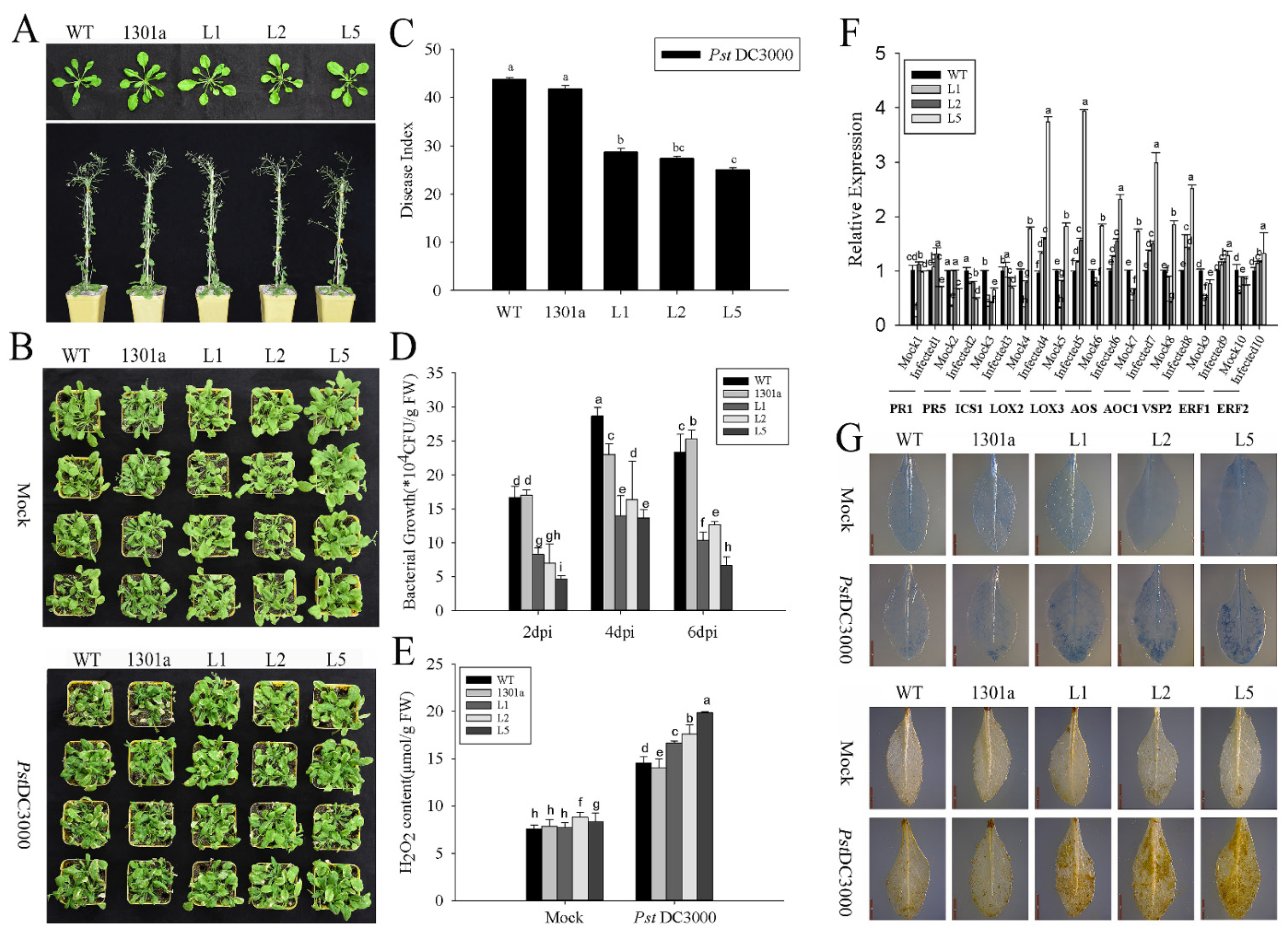 Ijms 23 14316 g005 Ijms 23 14316 g005