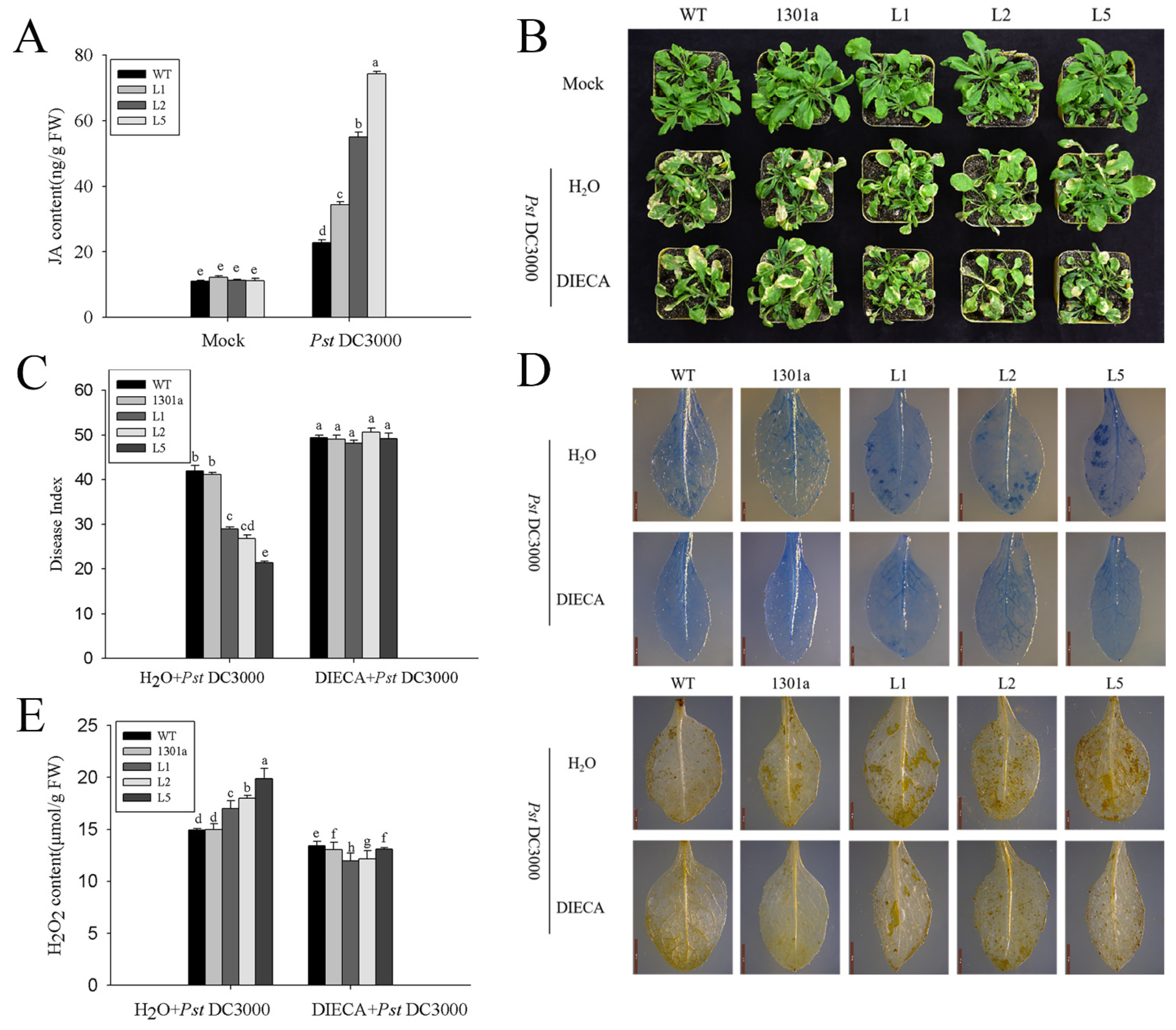 Ijms 23 14316 g007 Ijms 23 14316 g007