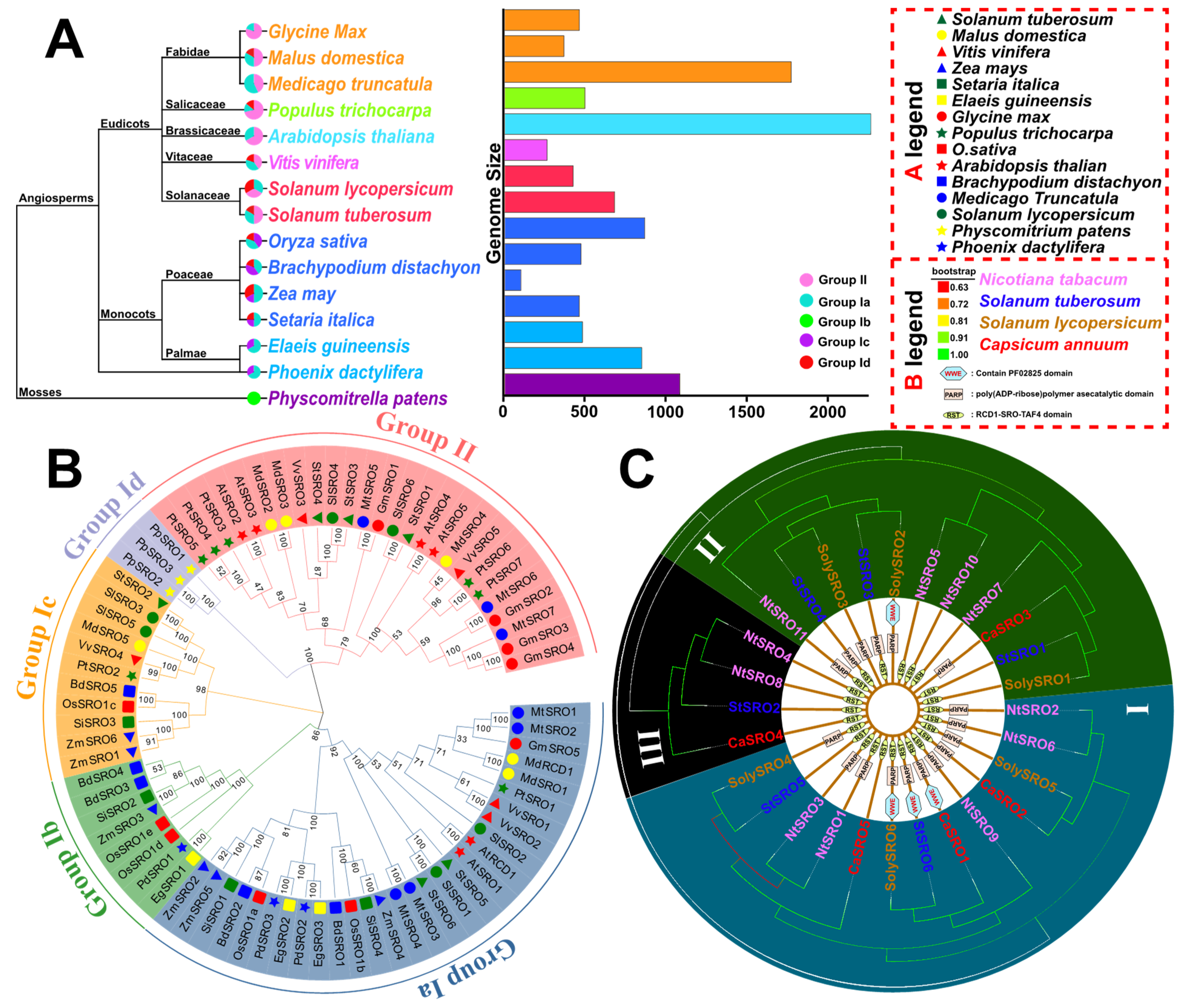 Ijms 23 14318 g003 Ijms 23 14318 g003