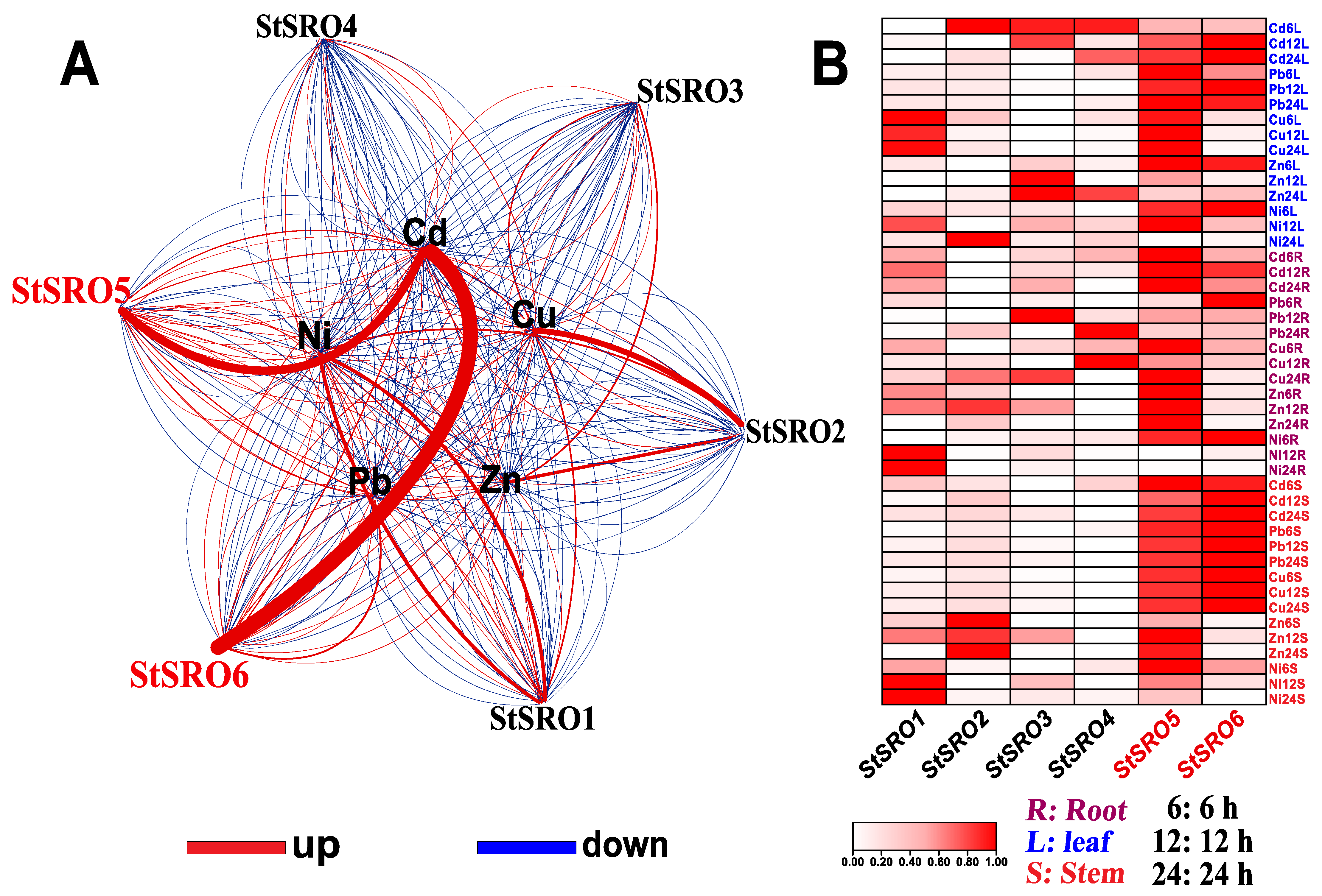 Ijms 23 14318 g005 Ijms 23 14318 g005