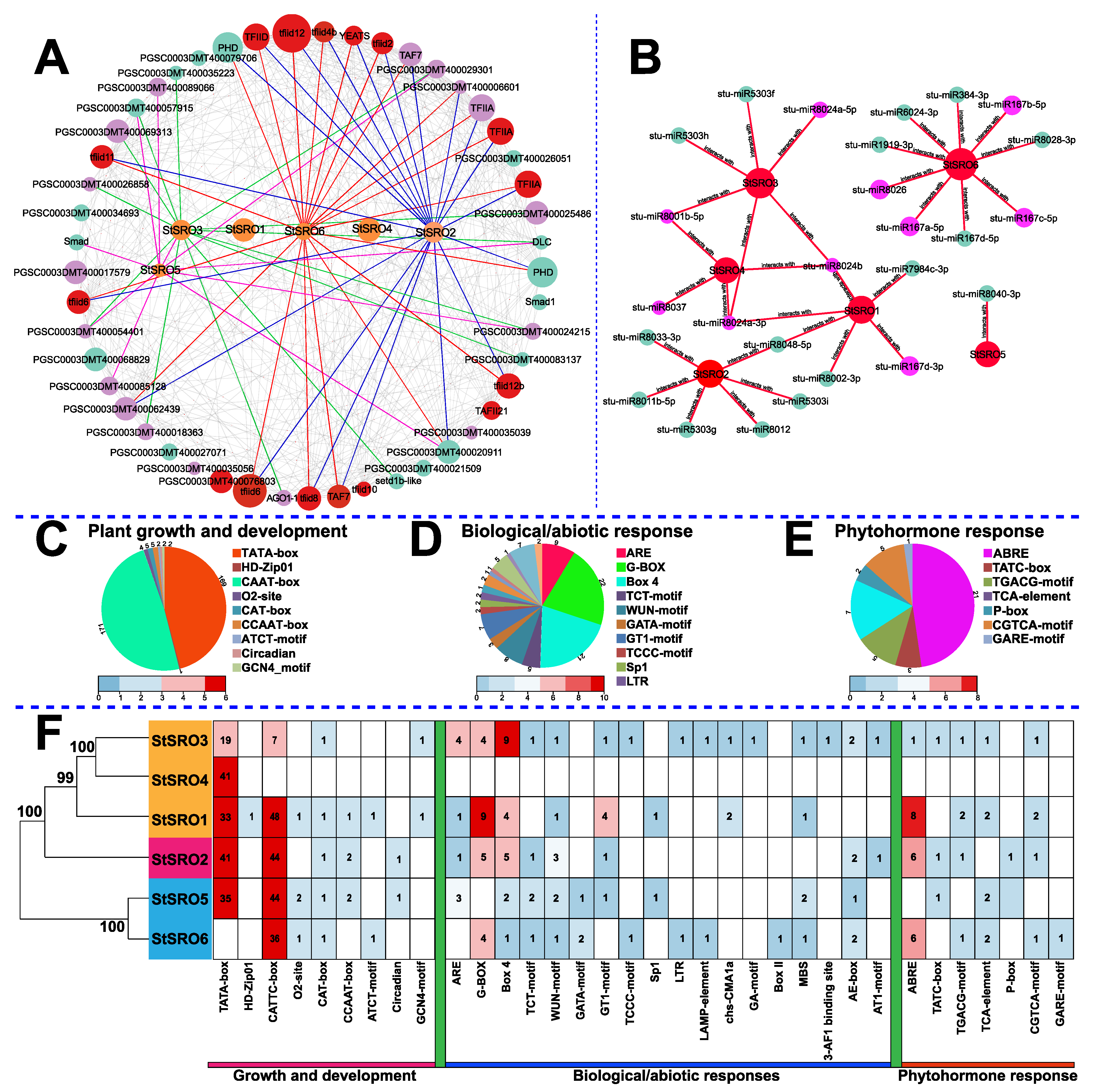 Ijms 23 14318 g006 Ijms 23 14318 g006