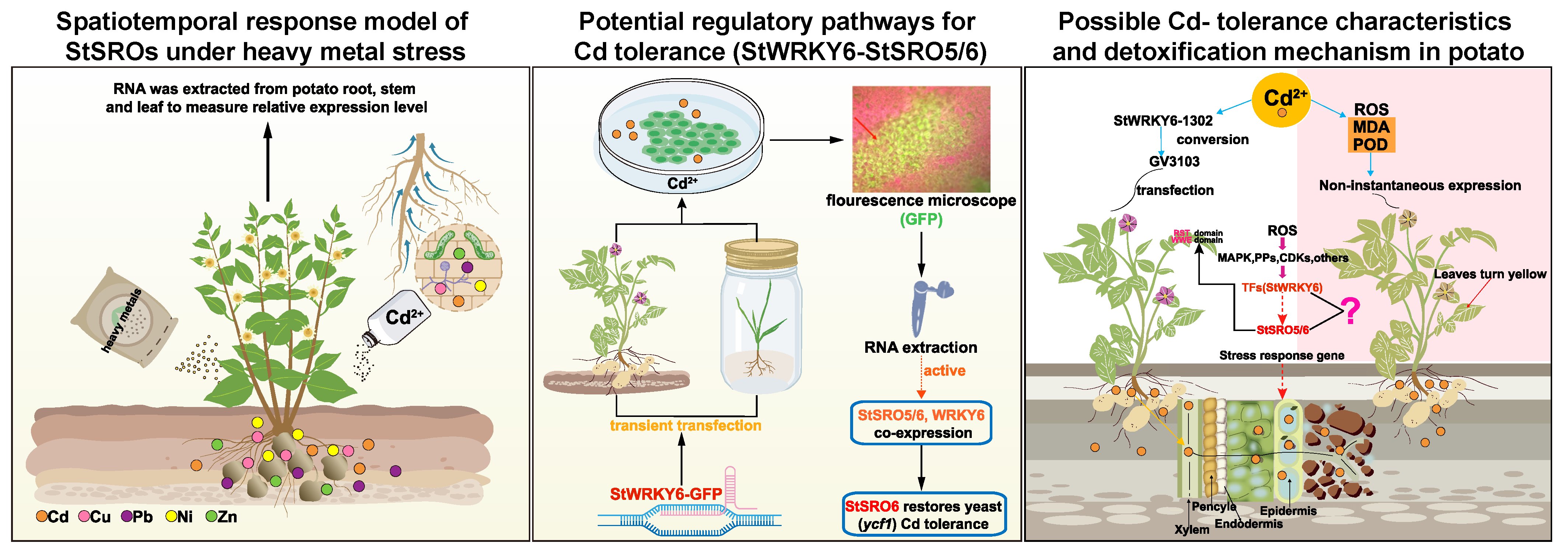 Ijms 23 14318 g008 Ijms 23 14318 g008