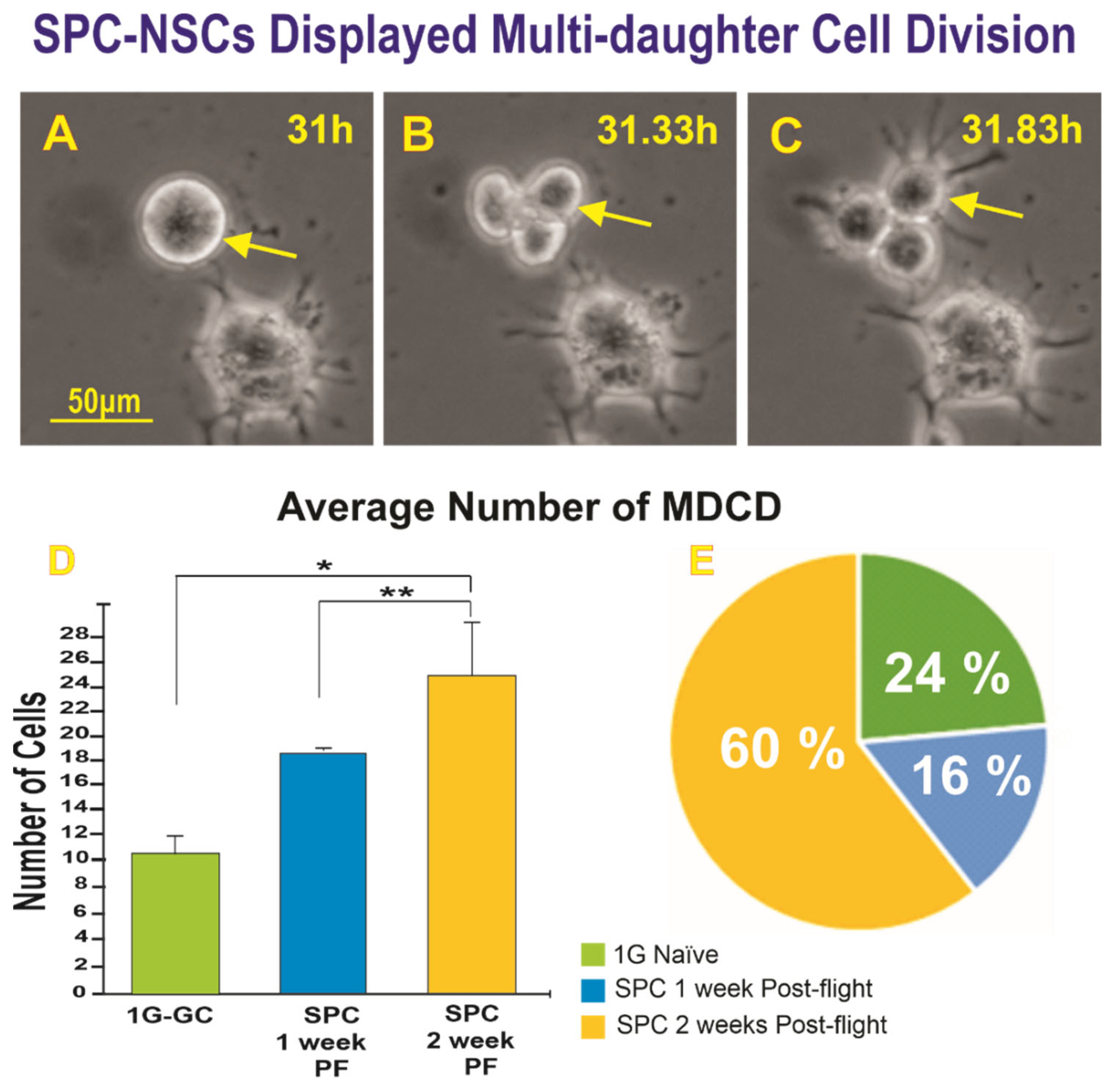 Ijms 23 14320 g002 Ijms 23 14320 g002