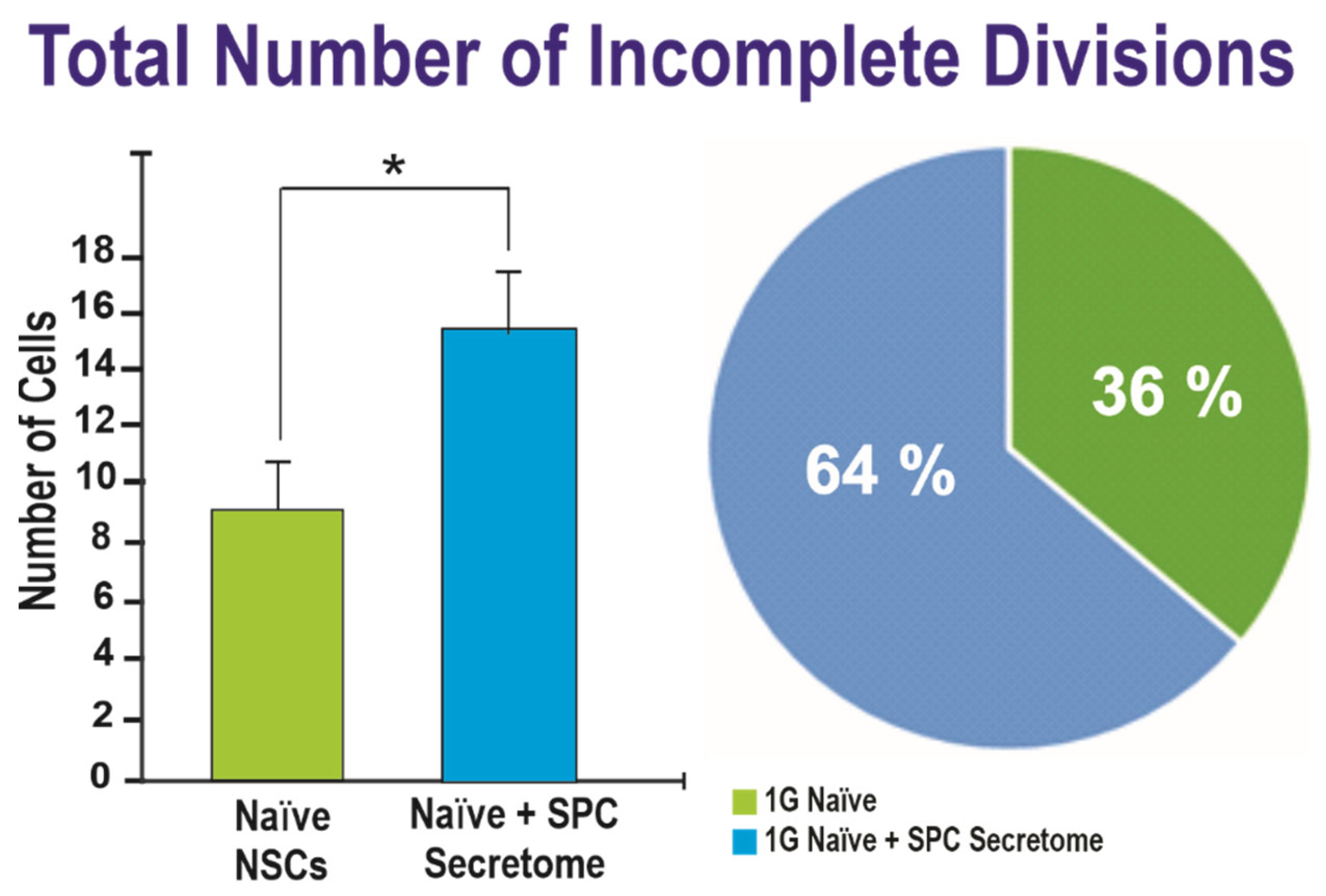 Ijms 23 14320 g004 Ijms 23 14320 g004