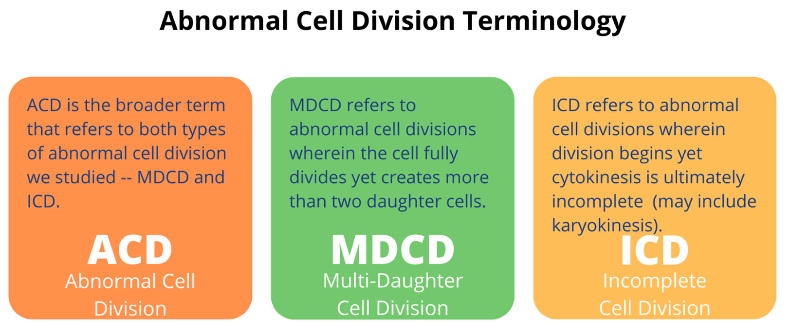 Ijms 23 14320 g009 Ijms 23 14320 g009