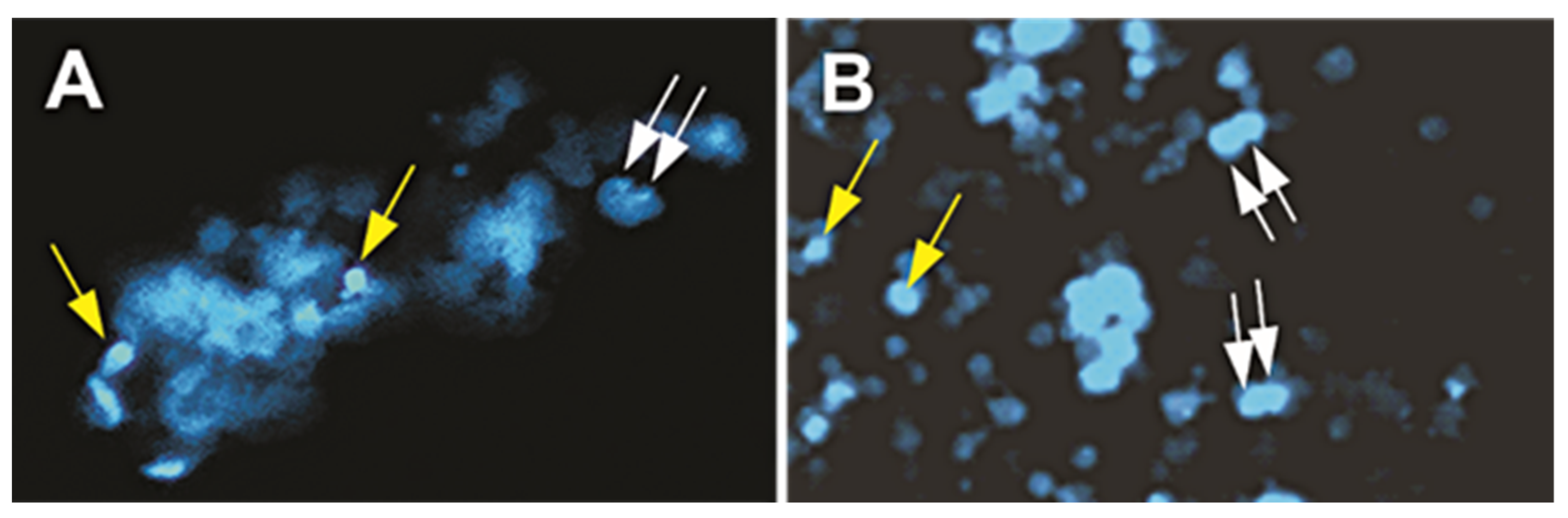 Ijms 23 14320 g010 Ijms 23 14320 g010