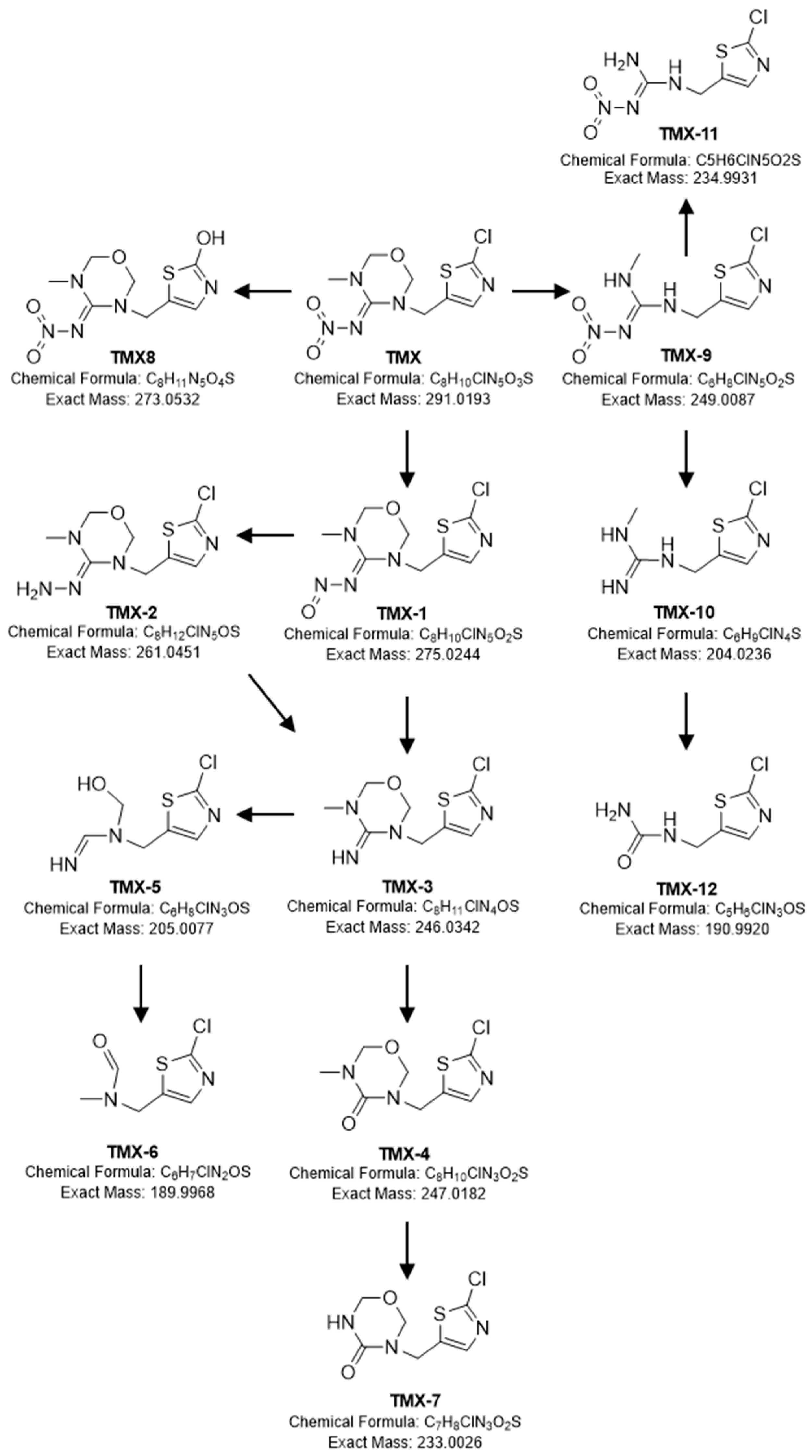 Ijms 23 14326 g003 Ijms 23 14326 g003
