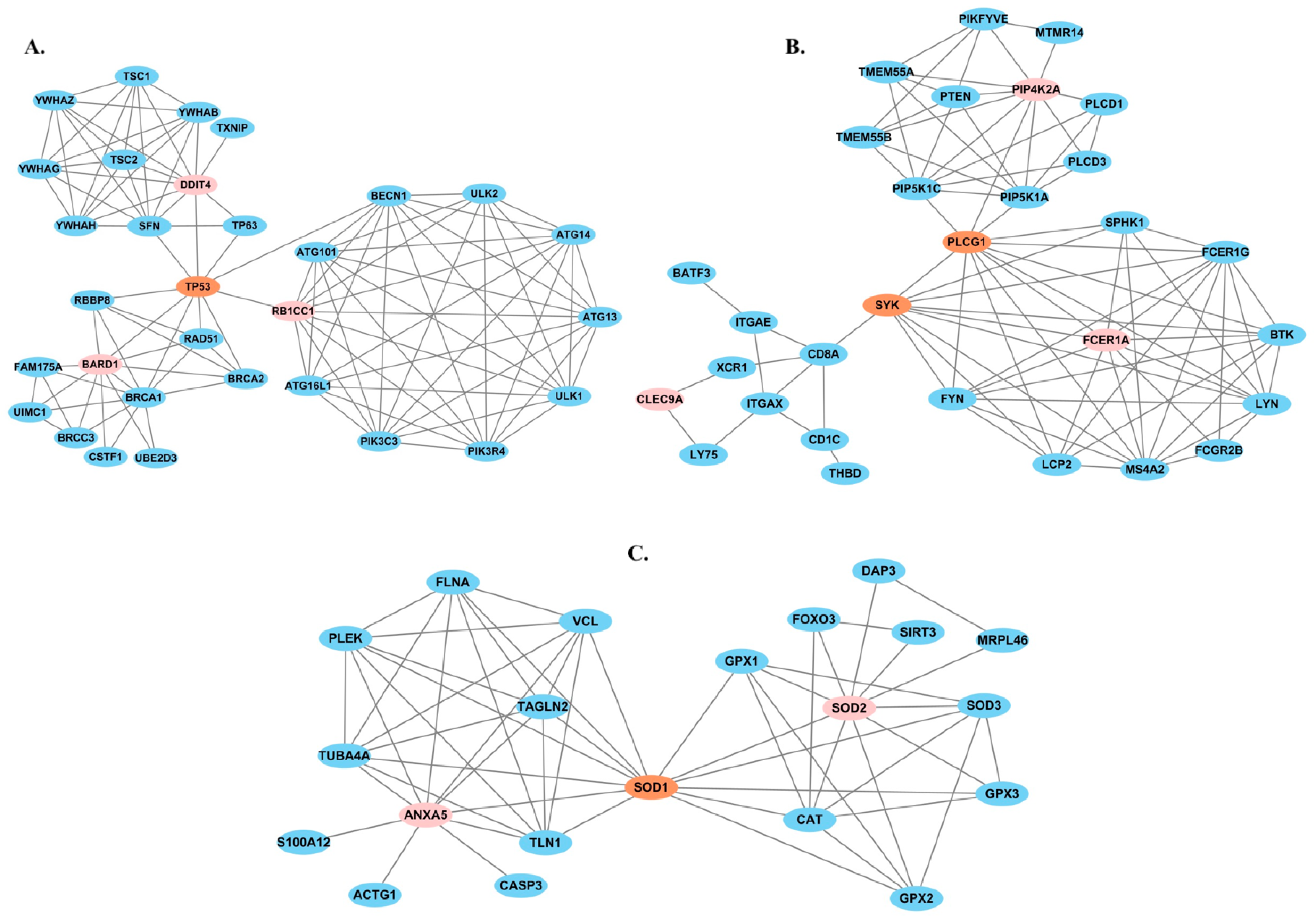 Ijms 23 14335 g003 Ijms 23 14335 g003