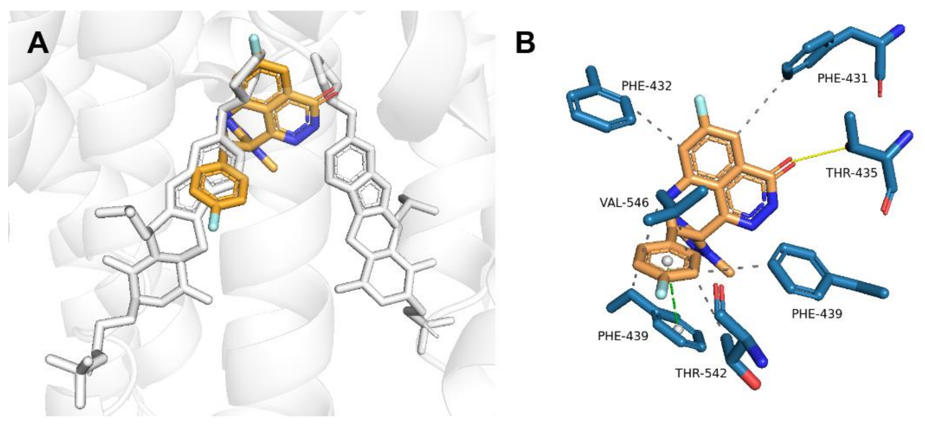 Ijms 23 14338 g003 Ijms 23 14338 g003