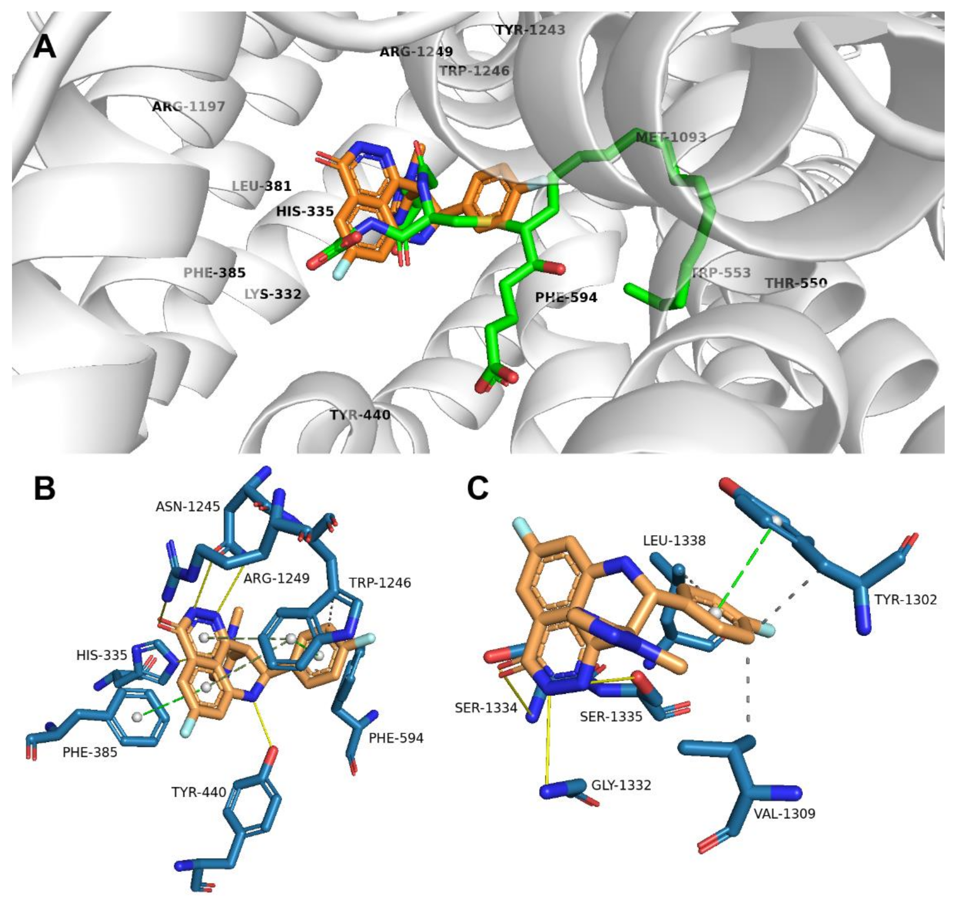 Ijms 23 14338 g004 Ijms 23 14338 g004