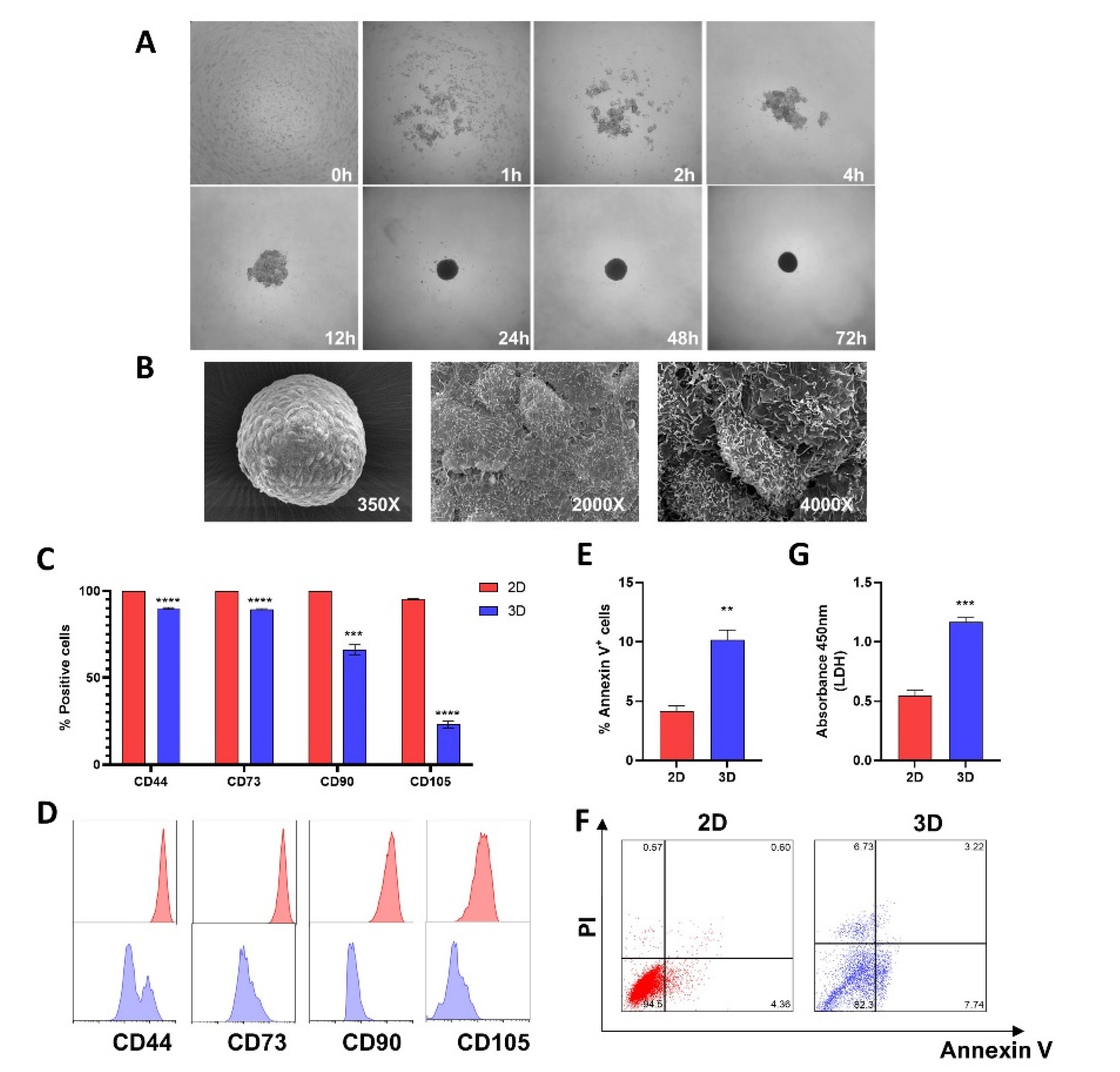 Ijms 23 14349 g001 Ijms 23 14349 g001