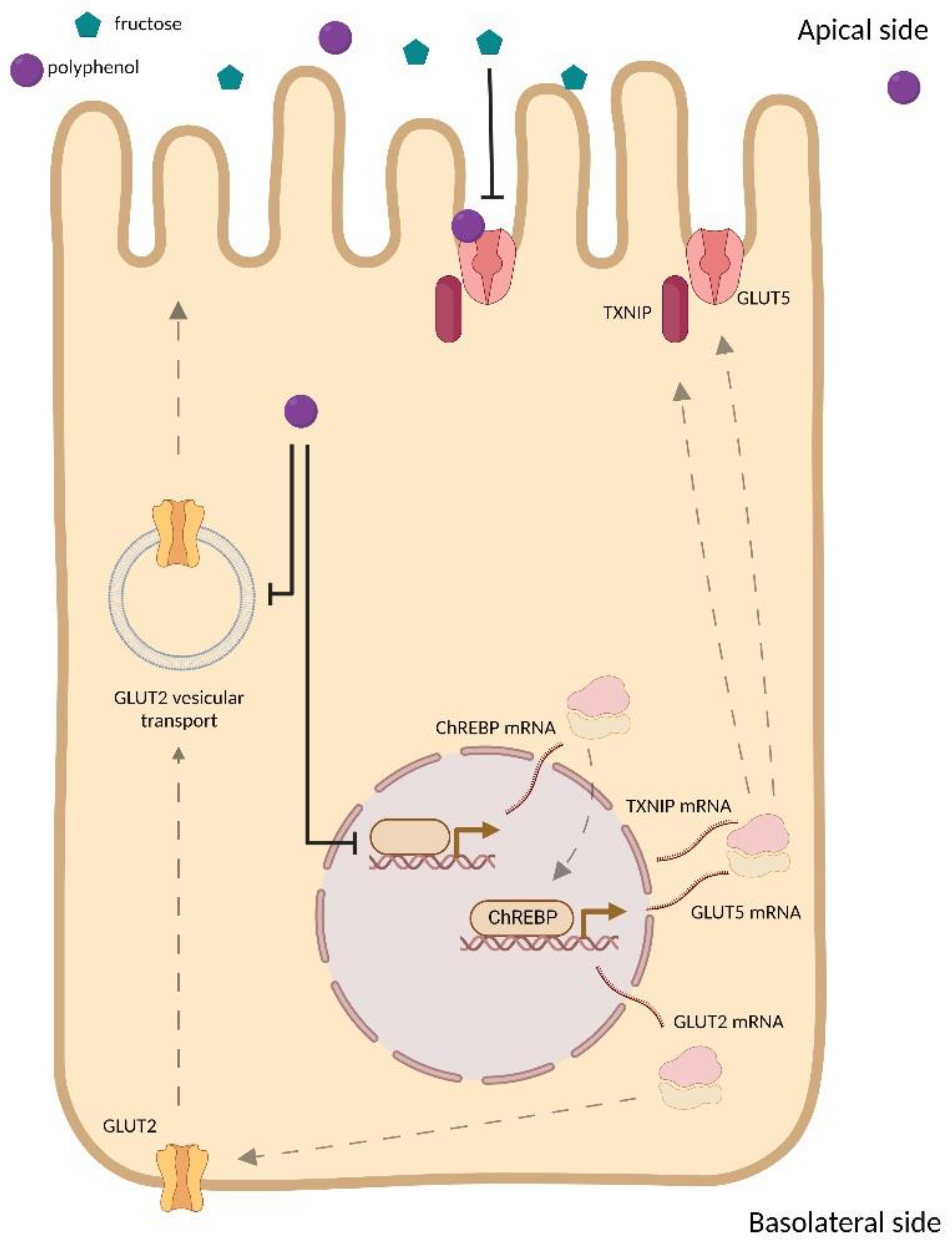 Ijms 23 14355 g002 Ijms 23 14355 g002