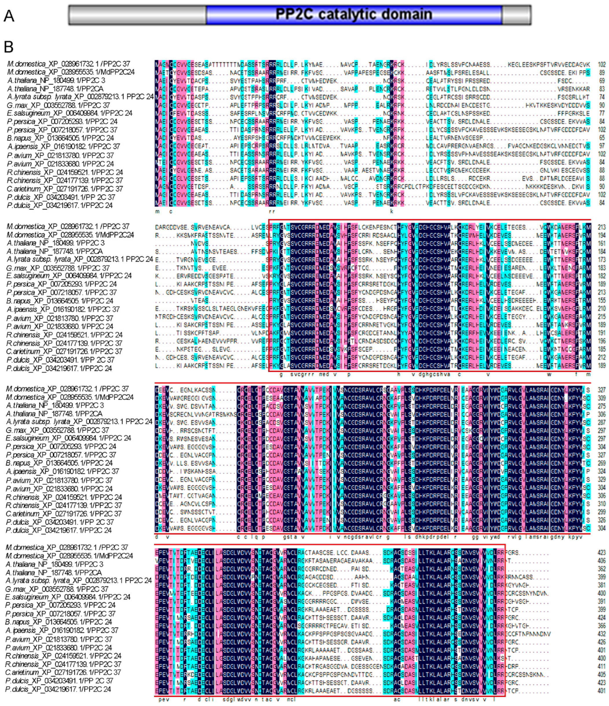 Ijms 23 14375 g001 Ijms 23 14375 g001