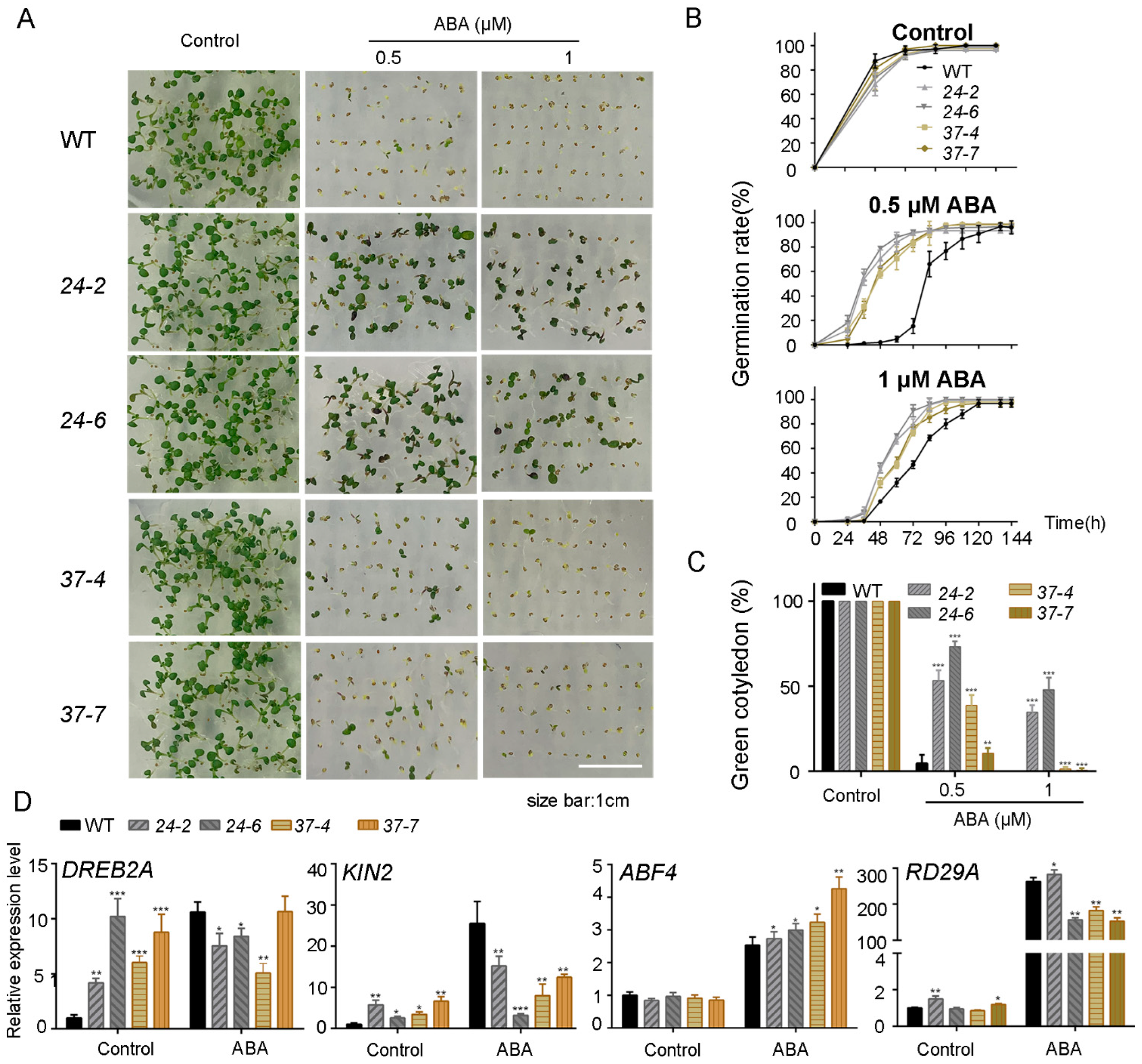 Ijms 23 14375 g003 Ijms 23 14375 g003