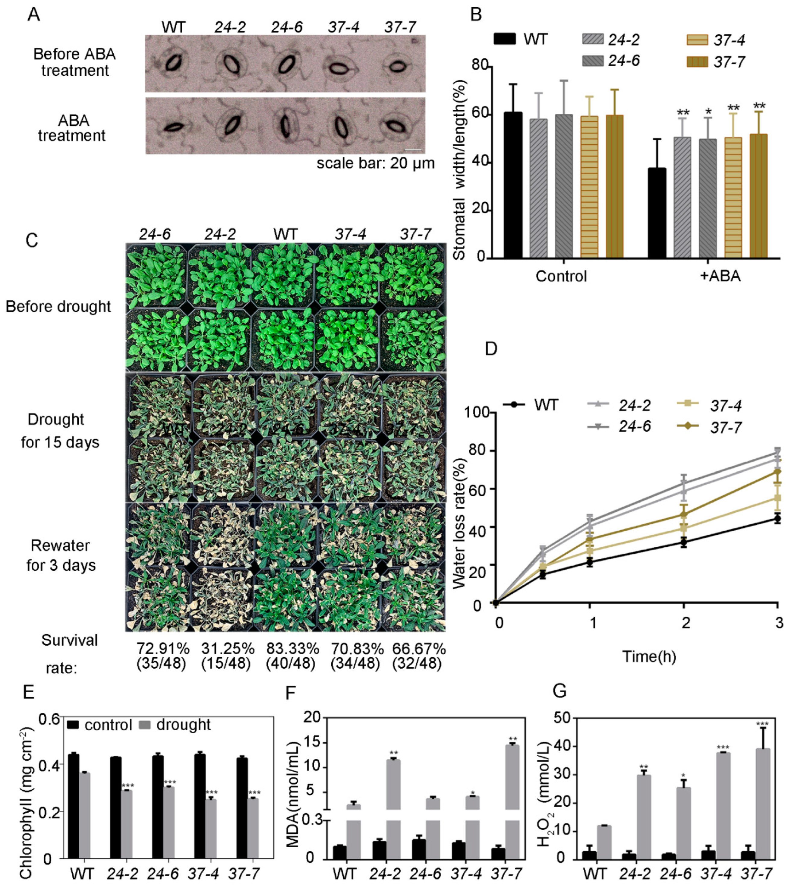 Ijms 23 14375 g004 Ijms 23 14375 g004