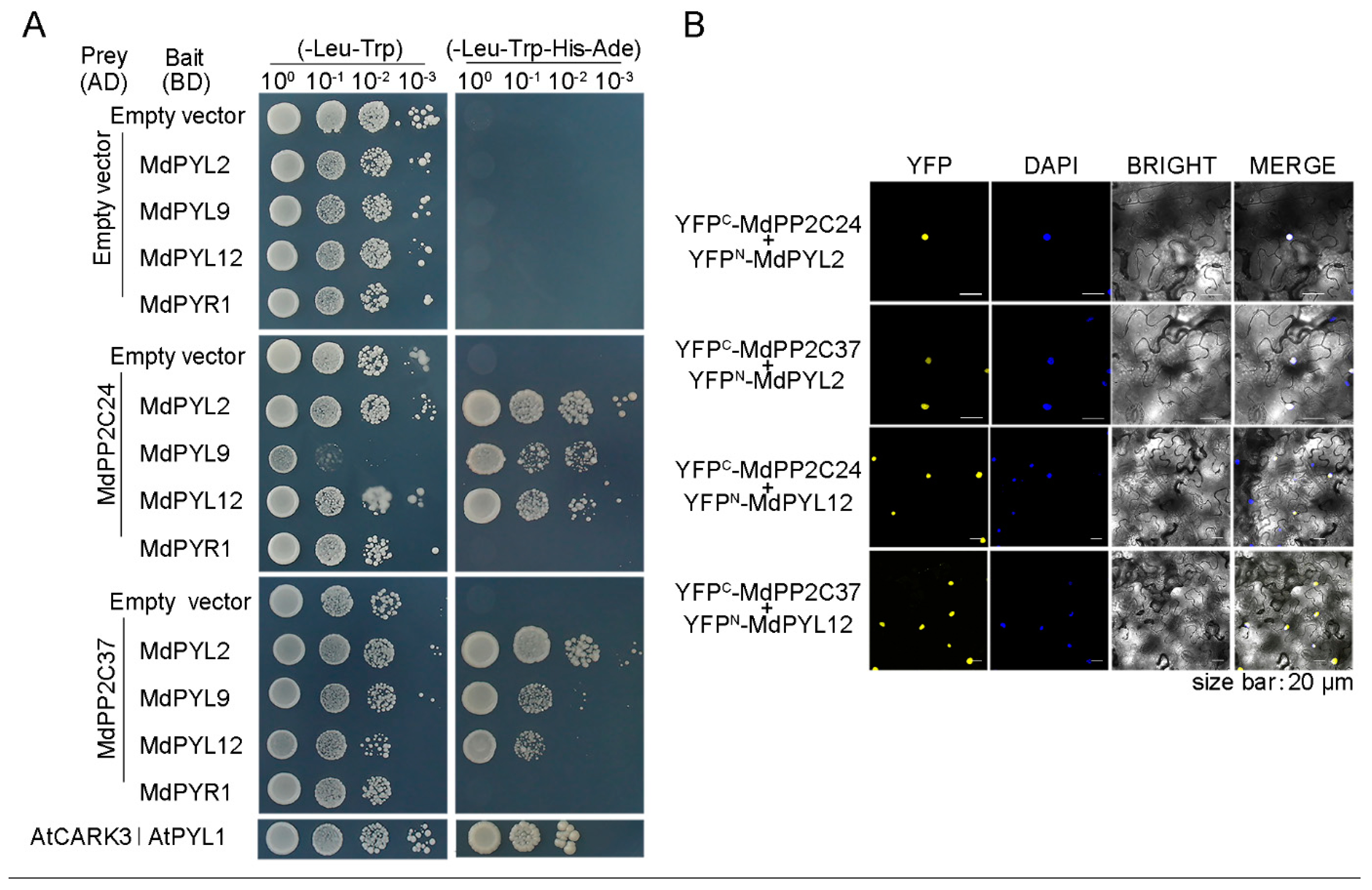 Ijms 23 14375 g006 Ijms 23 14375 g006