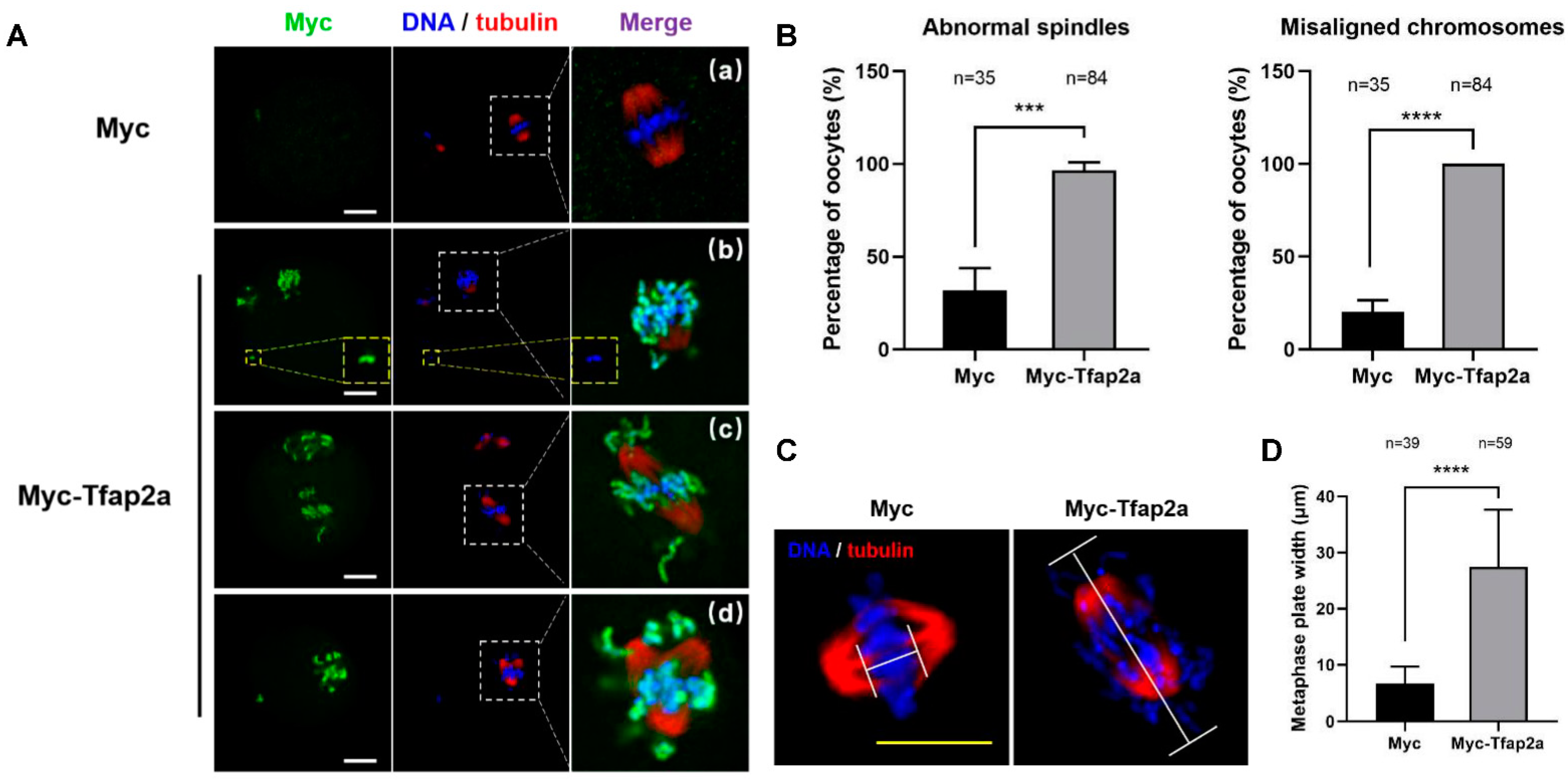 Ijms 23 14376 g005 Ijms 23 14376 g005