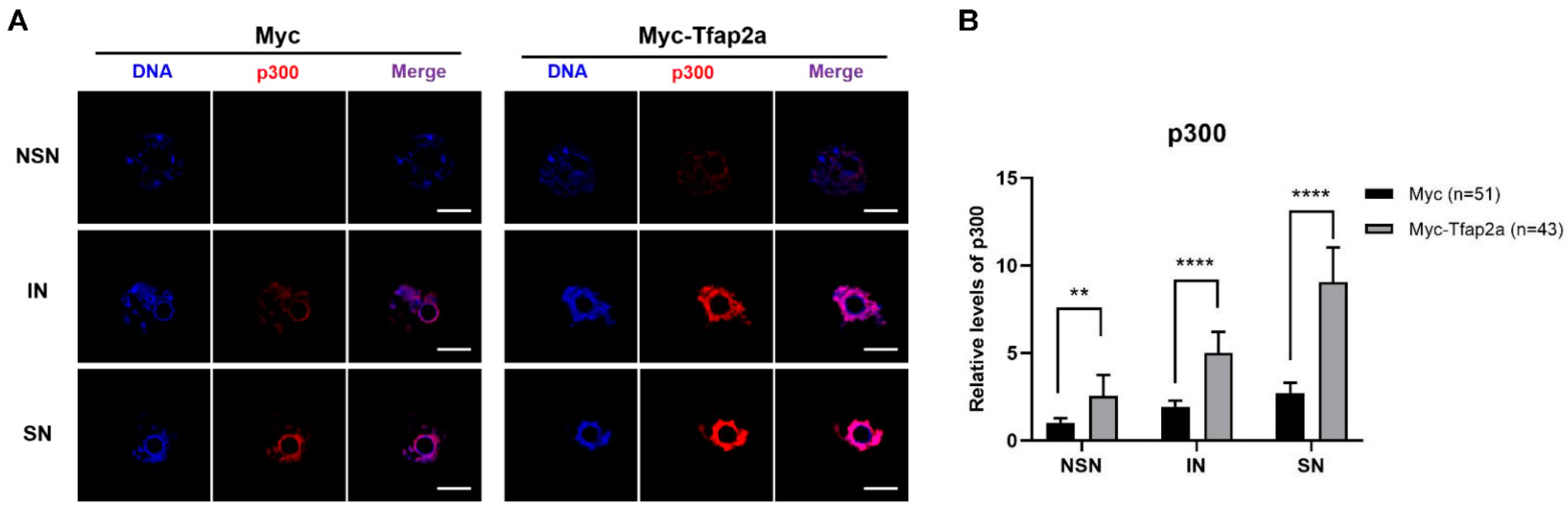 Ijms 23 14376 g006 Ijms 23 14376 g006