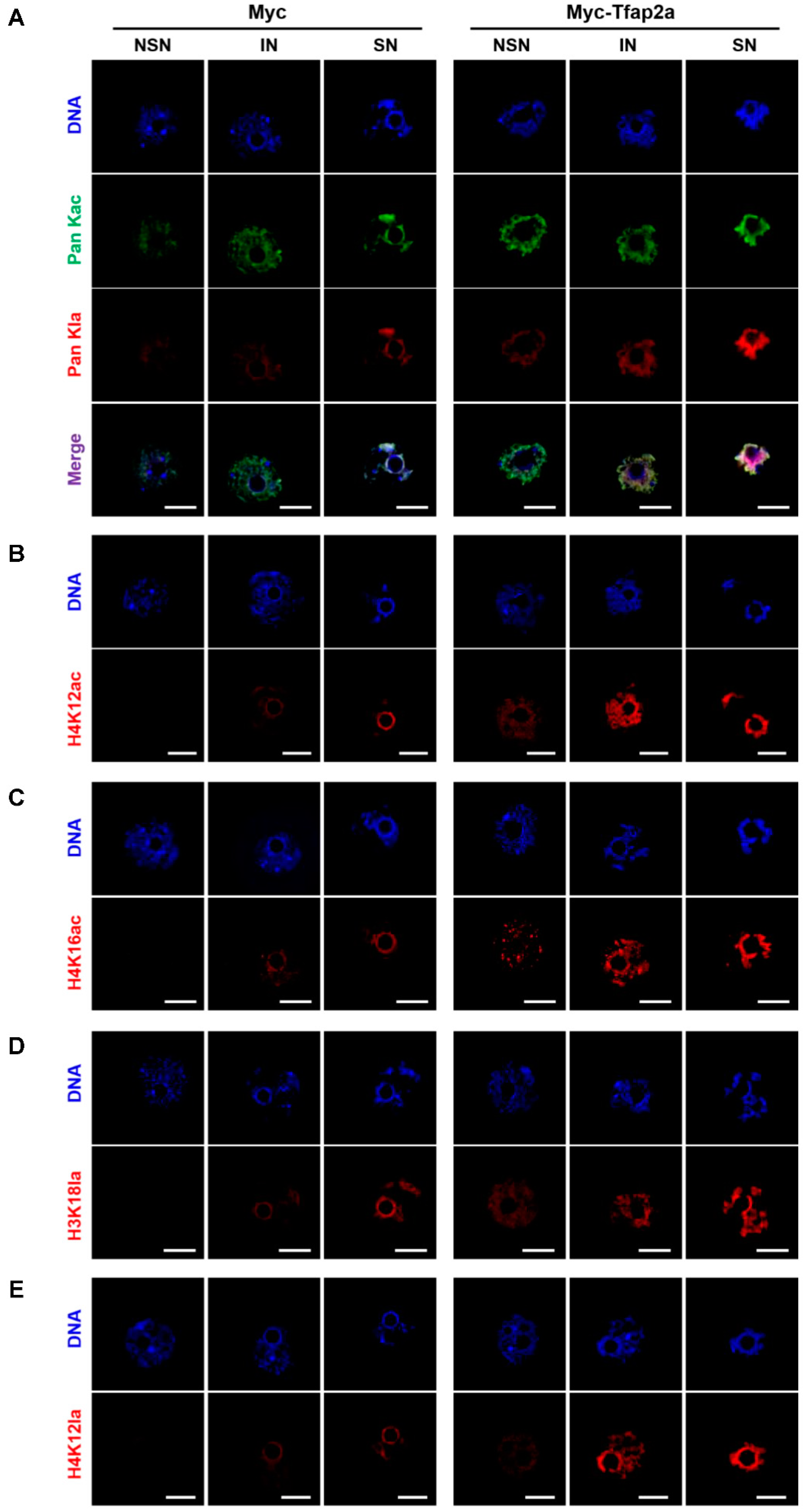 Ijms 23 14376 g007 Ijms 23 14376 g007